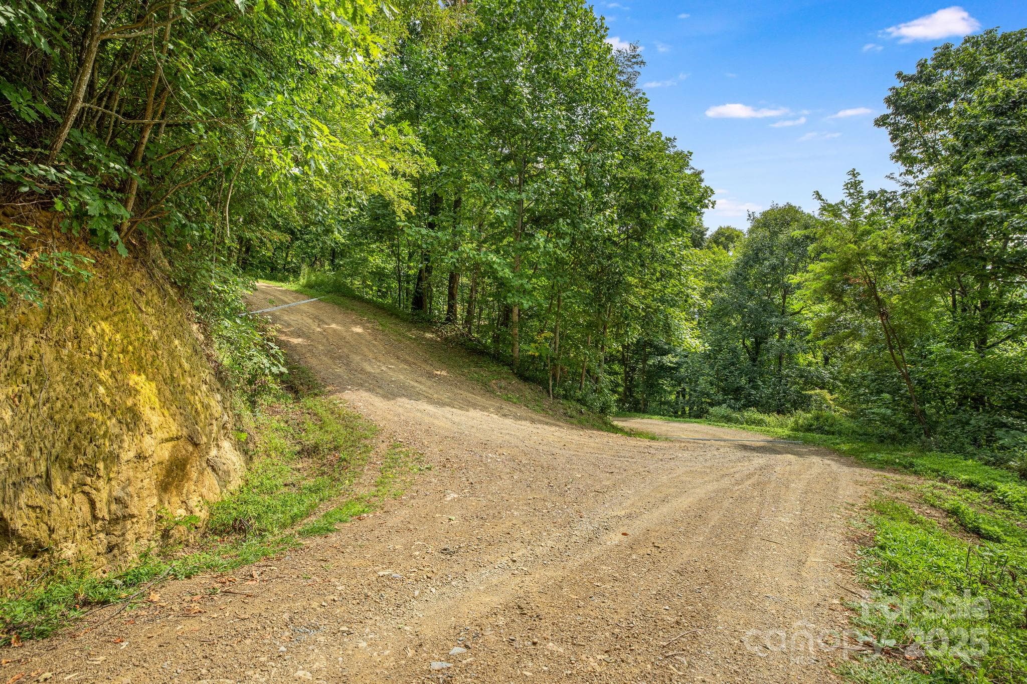 Lot at Lot 21 Cat Pen Branch Road, Hot Springs, photo 13 of 31