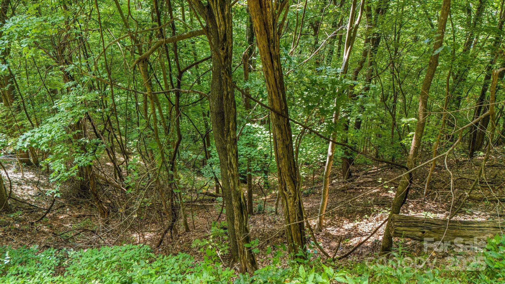 Lot at Lot 21 Cat Pen Branch Road, Hot Springs, photo 15 of 31