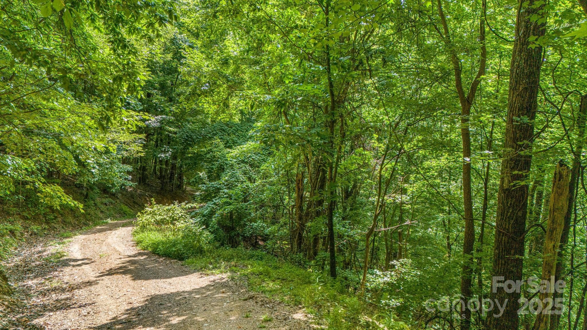 Lot at Lot 21 Cat Pen Branch Road, Hot Springs, photo 16 of 31
