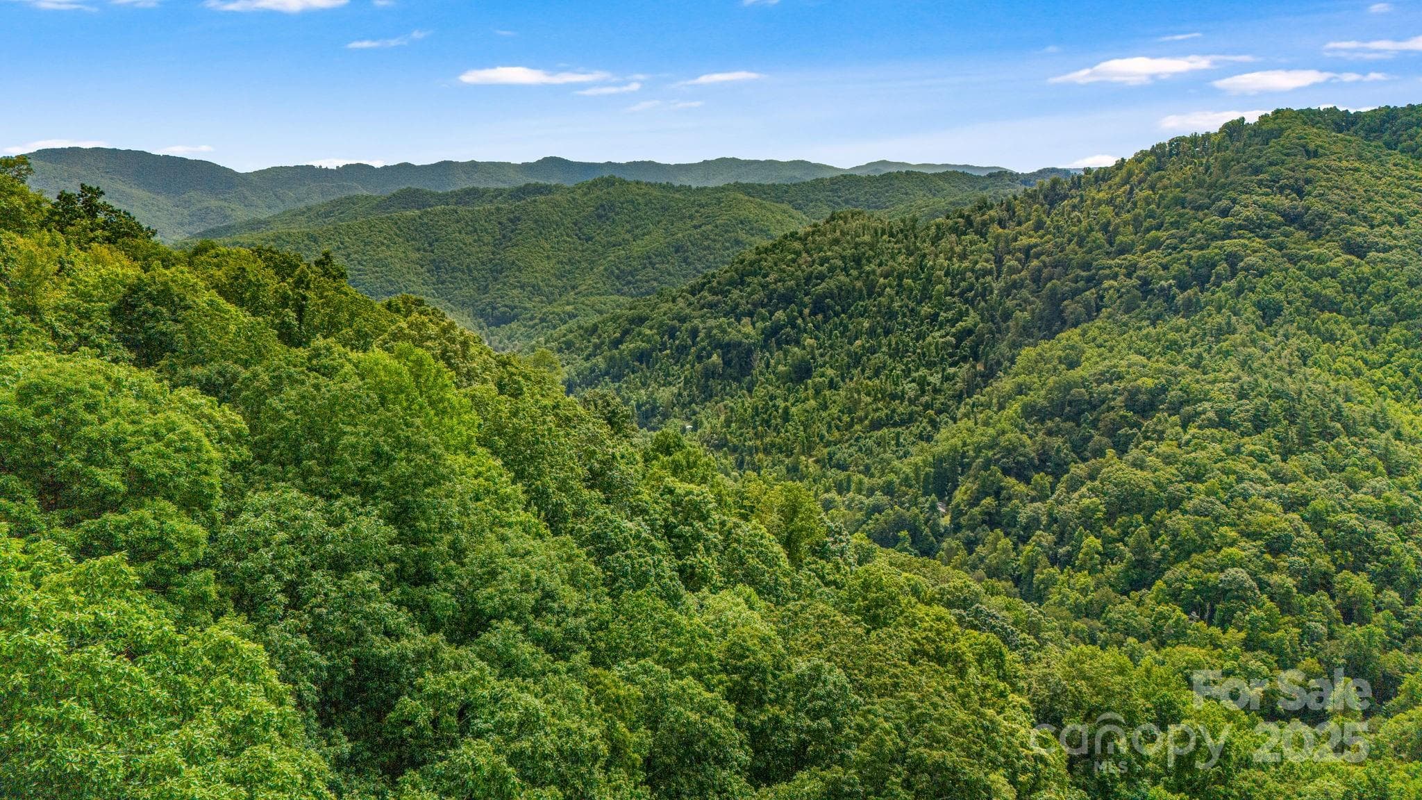 Lot at Lot 21 Cat Pen Branch Road, Hot Springs, photo 17 of 31