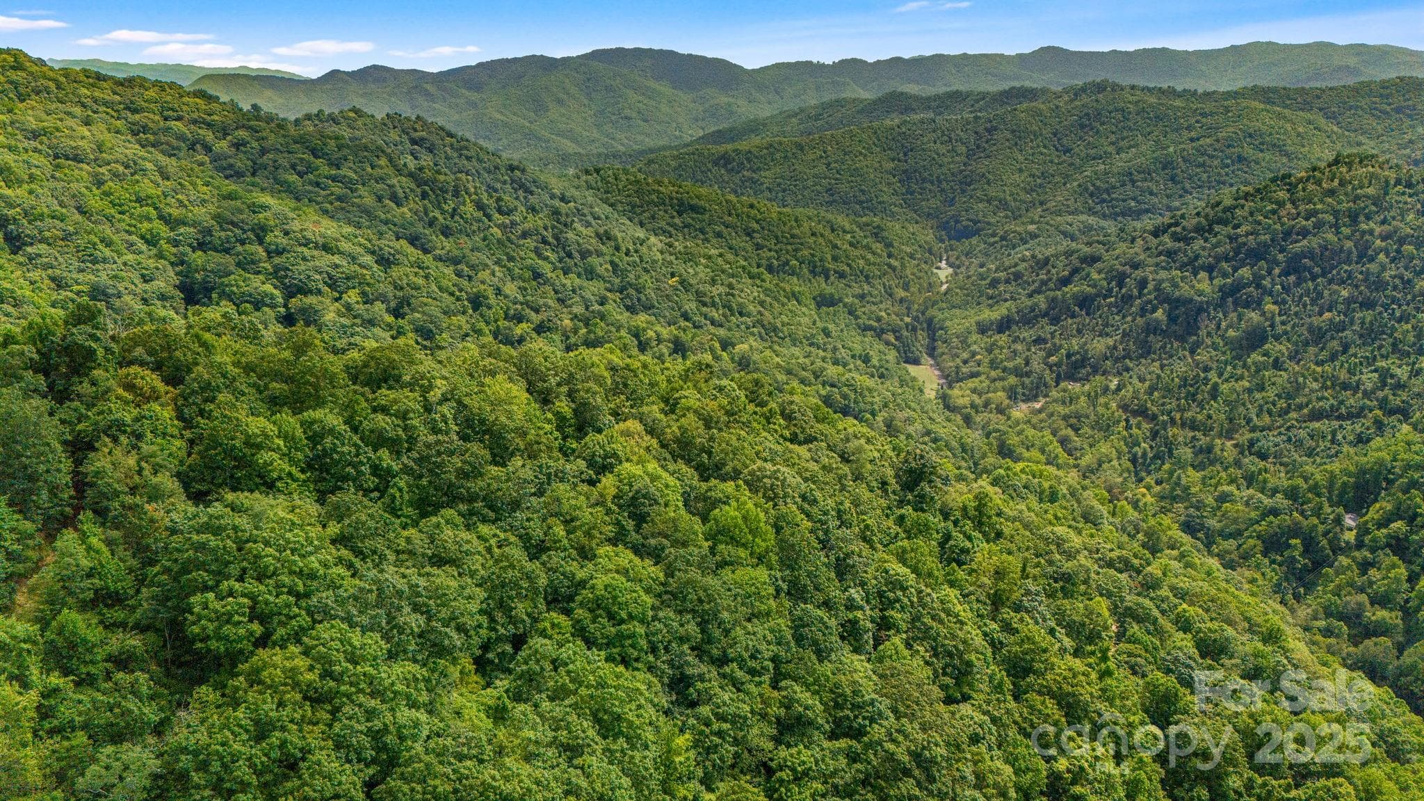 Lot at Lot 21 Cat Pen Branch Road, Hot Springs, photo 18 of 31
