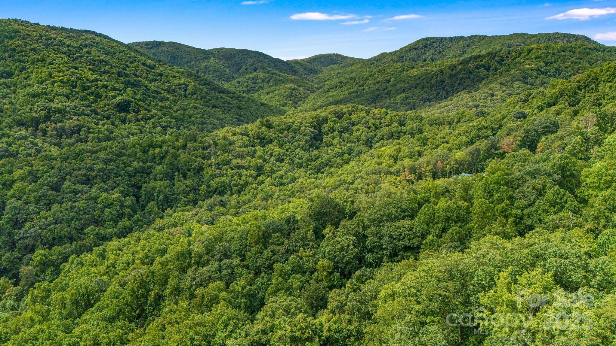 Lot at Lot 21 Cat Pen Branch Road, Hot Springs, photo 19 of 31