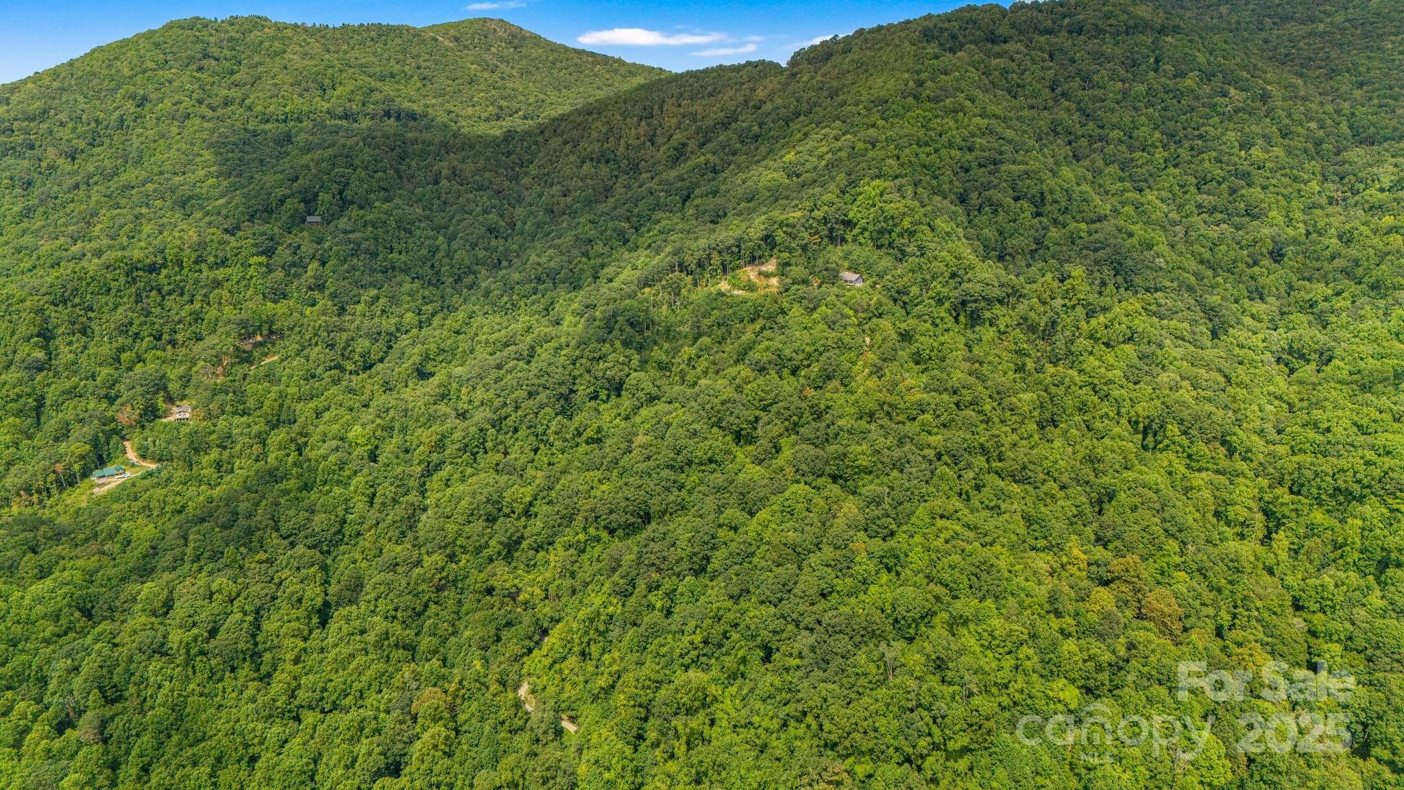 Lot at Lot 21 Cat Pen Branch Road, Hot Springs, photo 20 of 31