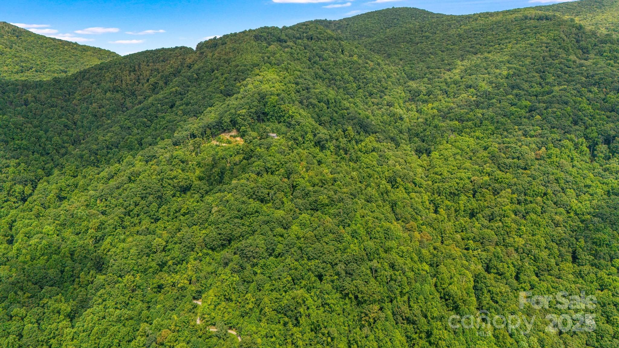 Lot at Lot 21 Cat Pen Branch Road, Hot Springs, photo 21 of 31
