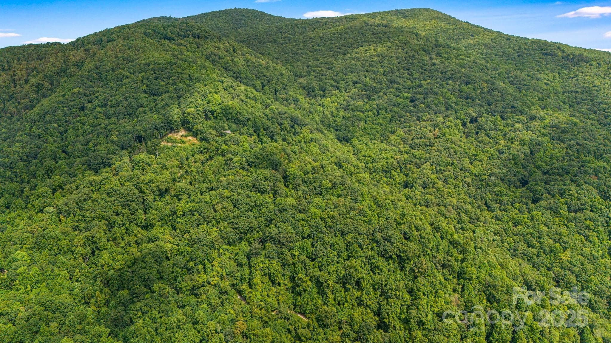 Lot at Lot 21 Cat Pen Branch Road, Hot Springs, photo 22 of 31