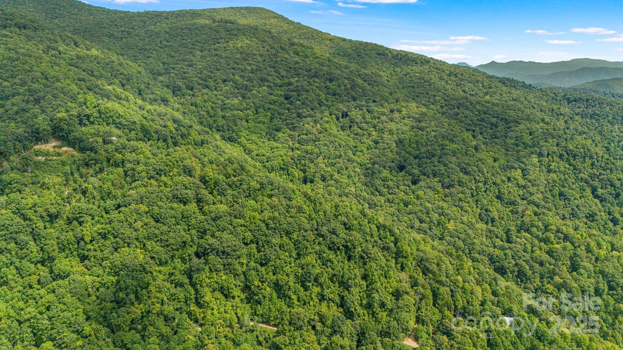 Lot at Lot 21 Cat Pen Branch Road, Hot Springs, photo 23 of 31