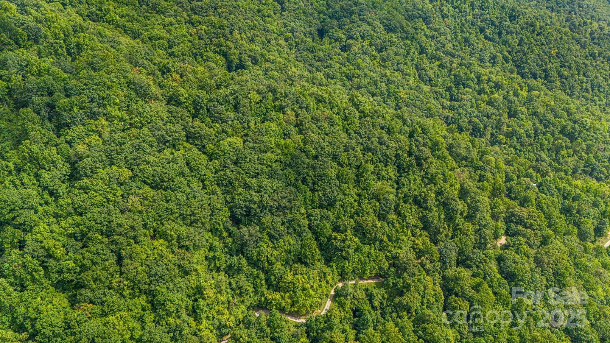 Lot at Lot 21 Cat Pen Branch Road, Hot Springs, photo 24 of 31