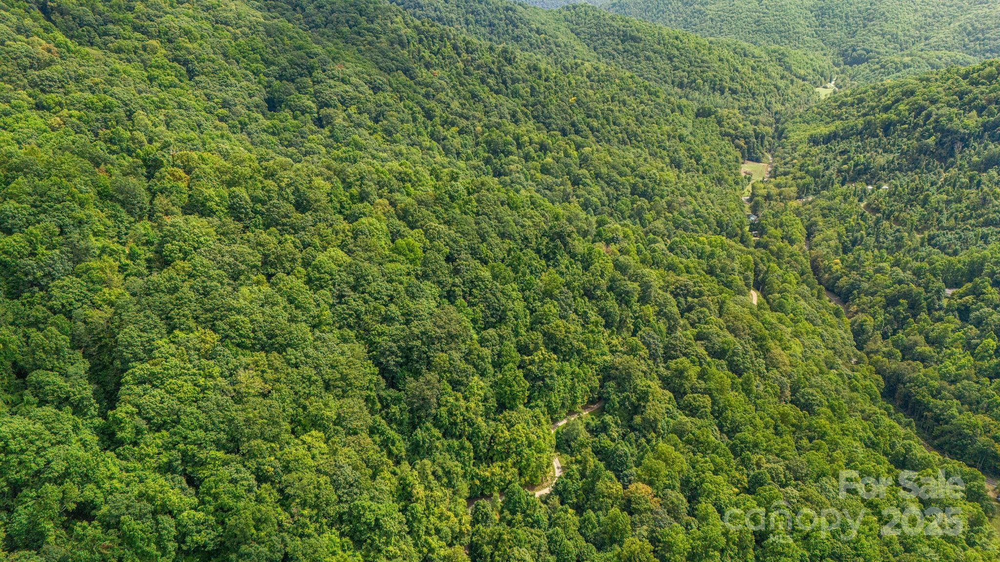 Lot at Lot 21 Cat Pen Branch Road, Hot Springs, photo 25 of 31
