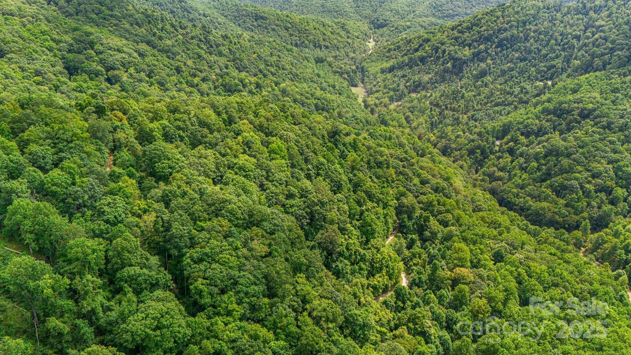 Lot at Lot 21 Cat Pen Branch Road, Hot Springs, photo 26 of 31