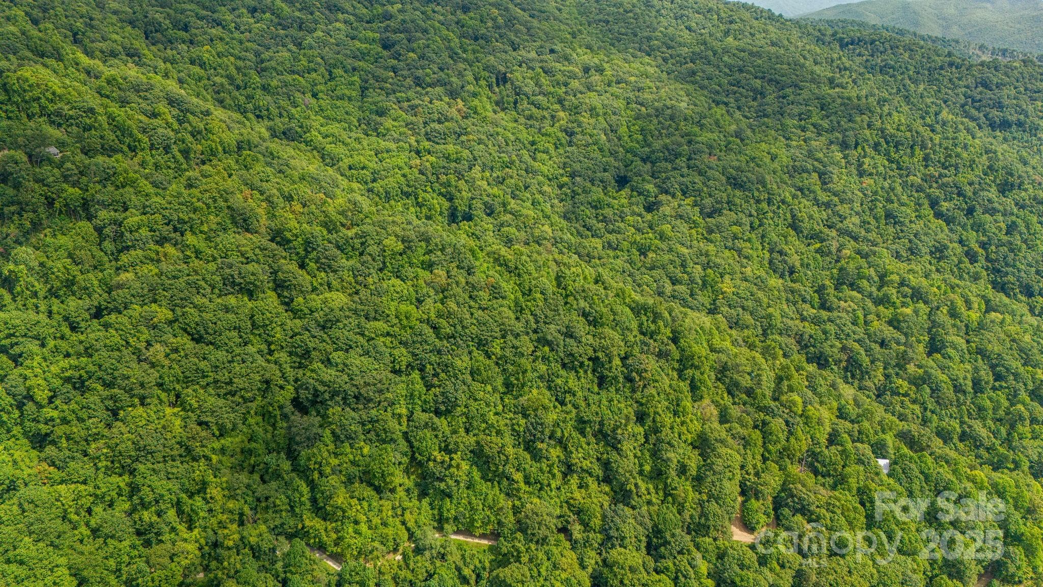 Lot at Lot 21 Cat Pen Branch Road, Hot Springs, photo 27 of 31