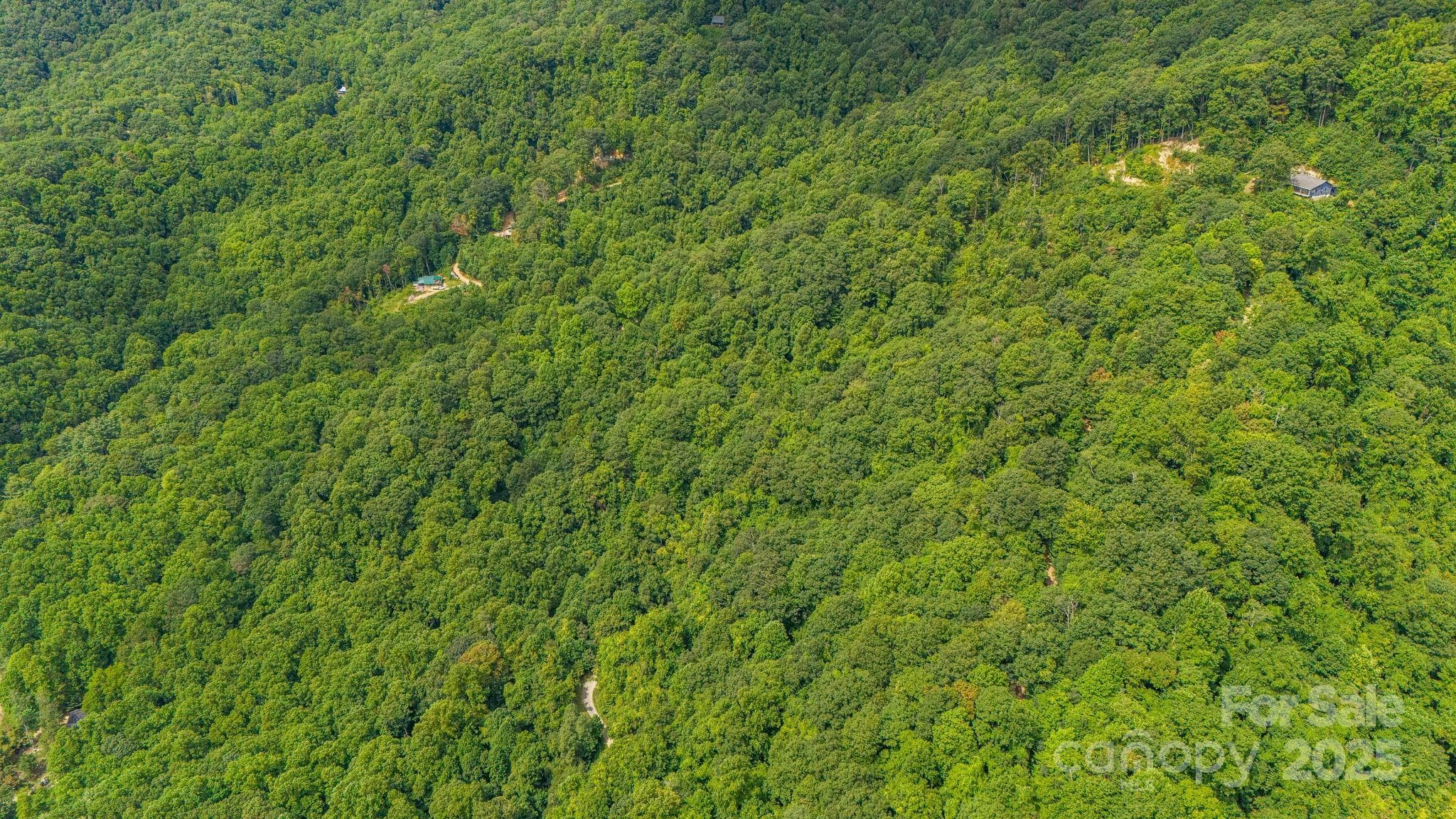 Lot at Lot 21 Cat Pen Branch Road, Hot Springs, photo 28 of 31