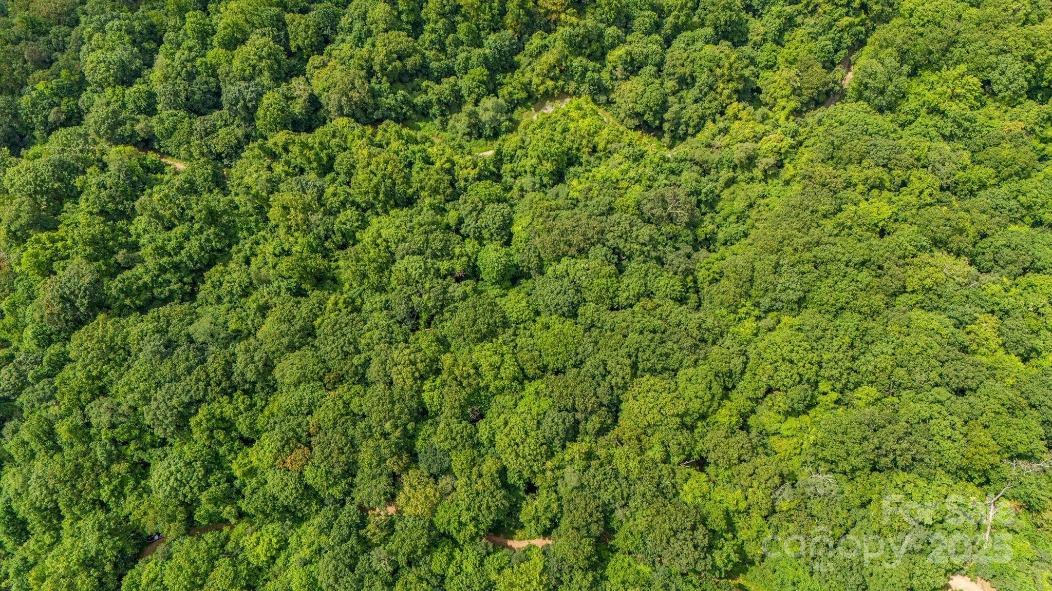 Lot at Lot 21 Cat Pen Branch Road, Hot Springs, photo 29 of 31