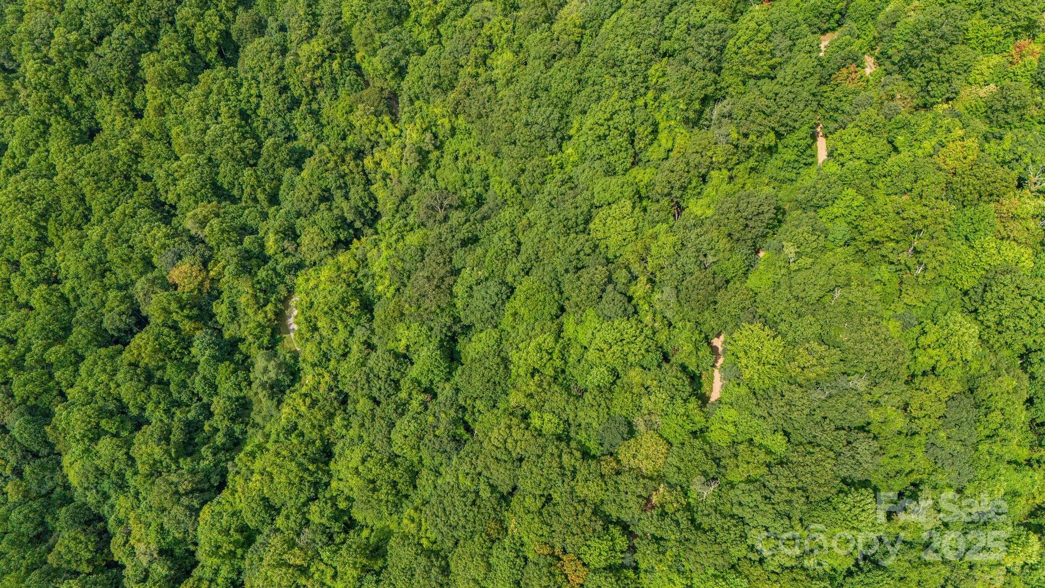 Lot at Lot 21 Cat Pen Branch Road, Hot Springs, photo 31 of 31