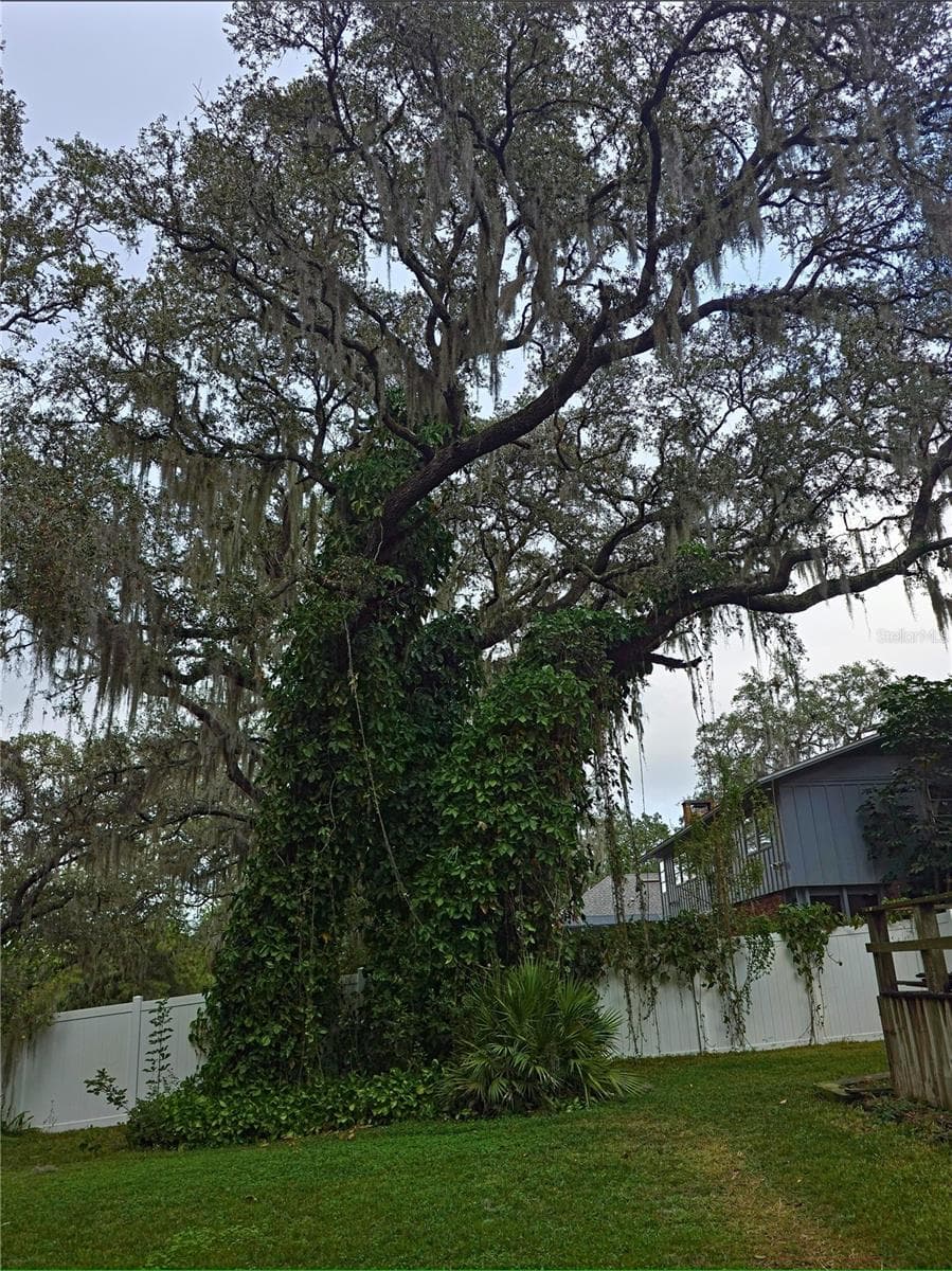 Towering Oaks - 34041 HIGHLAND RD, LEESBURG