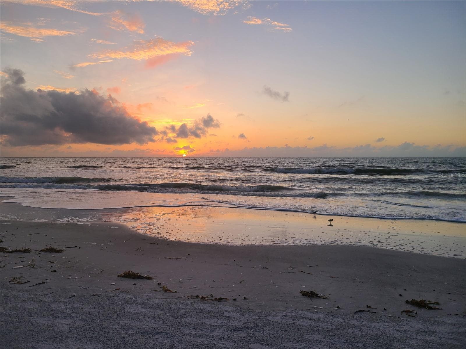 Condominium at 1290 GULF BLVD #903, CLEARWATER BEACH, photo 36 of 40