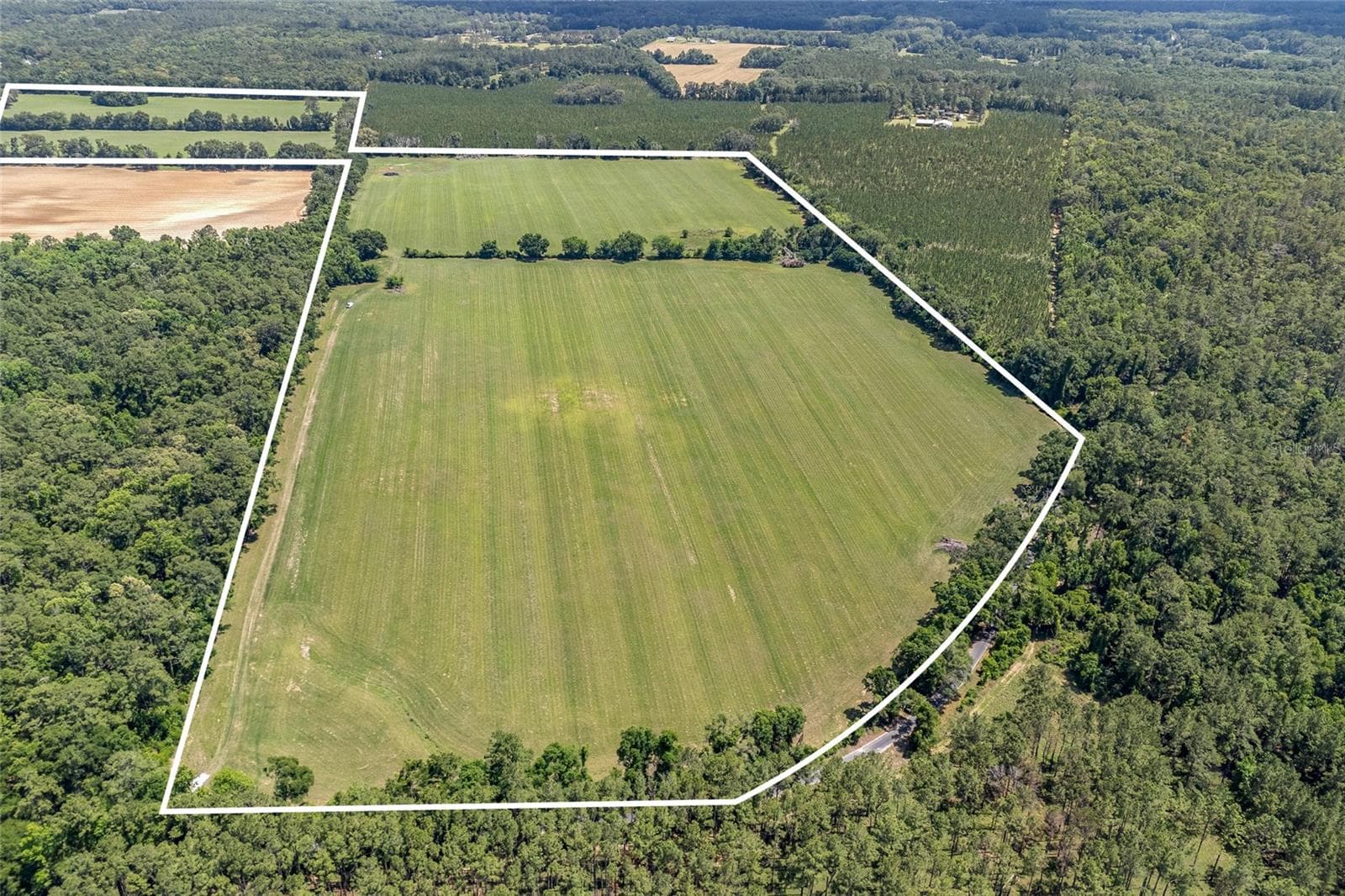 Land at 227TH DR, HIGH SPRINGS, photo 3 of 39