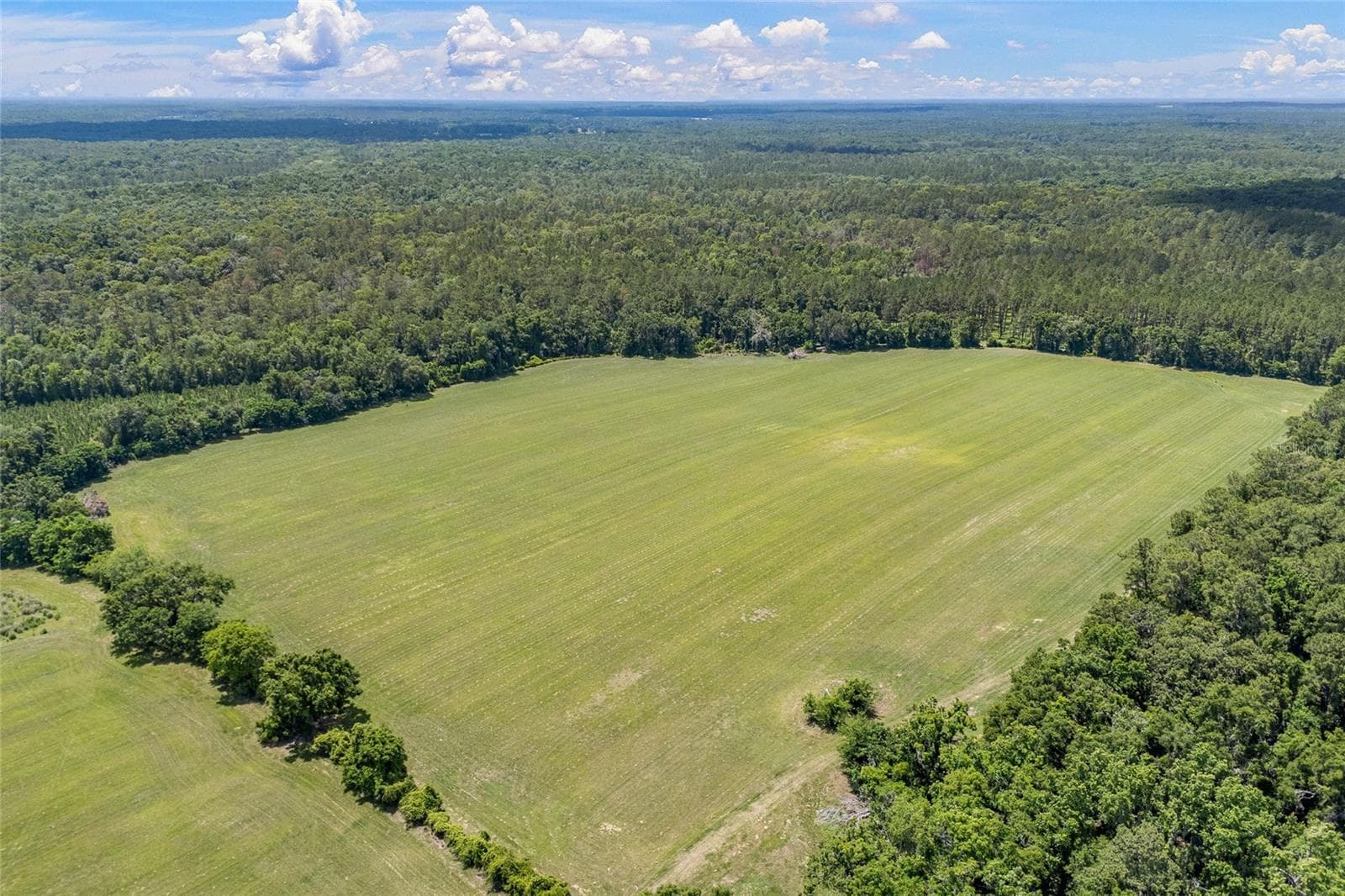 Land at 227TH DR, HIGH SPRINGS, photo 6 of 39