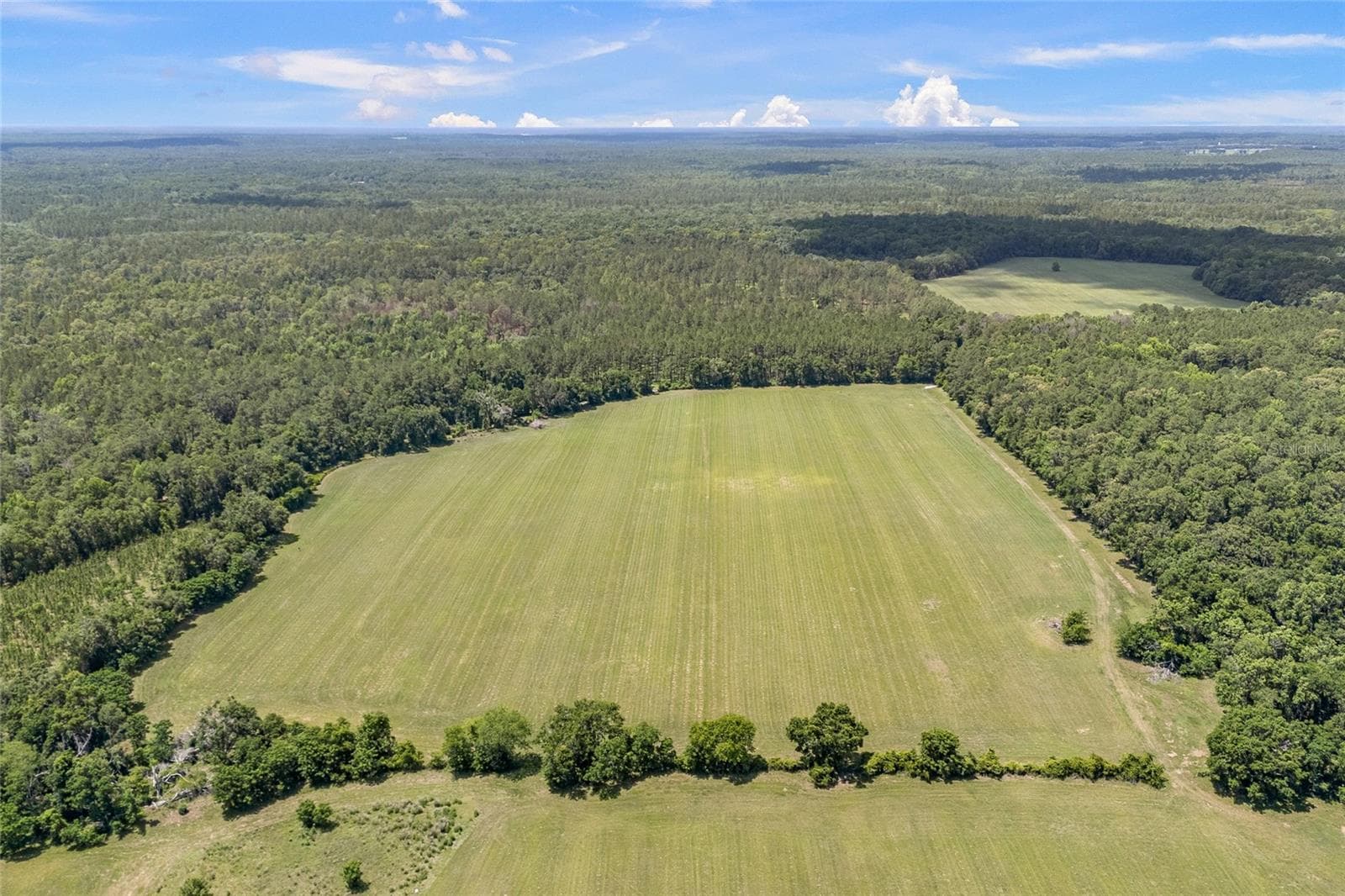 Land at 227TH DR, HIGH SPRINGS, photo 8 of 39