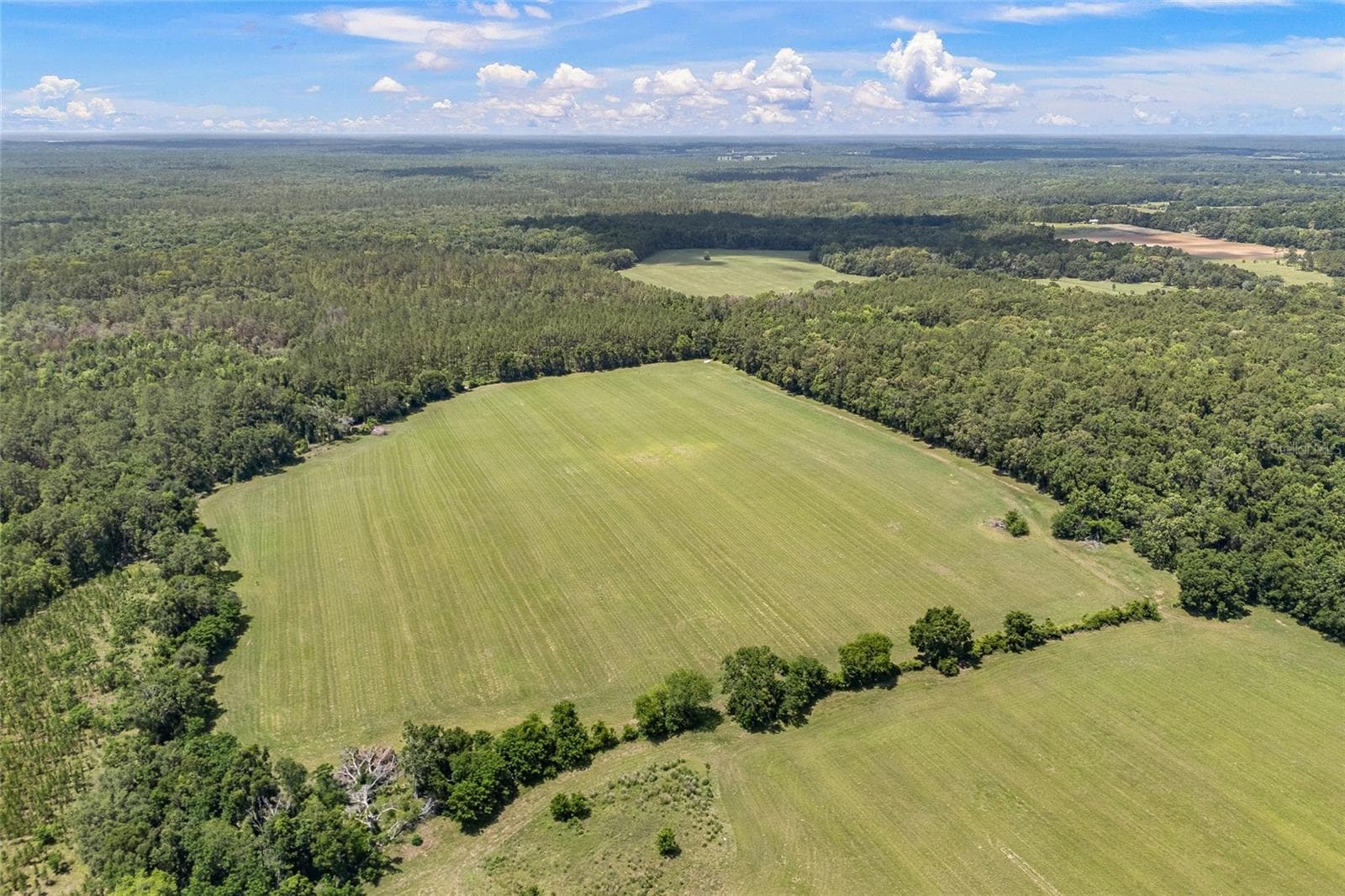 Land at 227TH DR, HIGH SPRINGS, photo 10 of 39