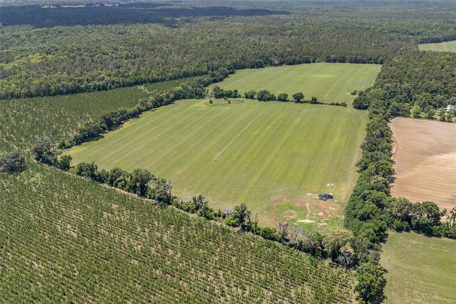 Land at 227TH DR, HIGH SPRINGS, photo 15 of 39