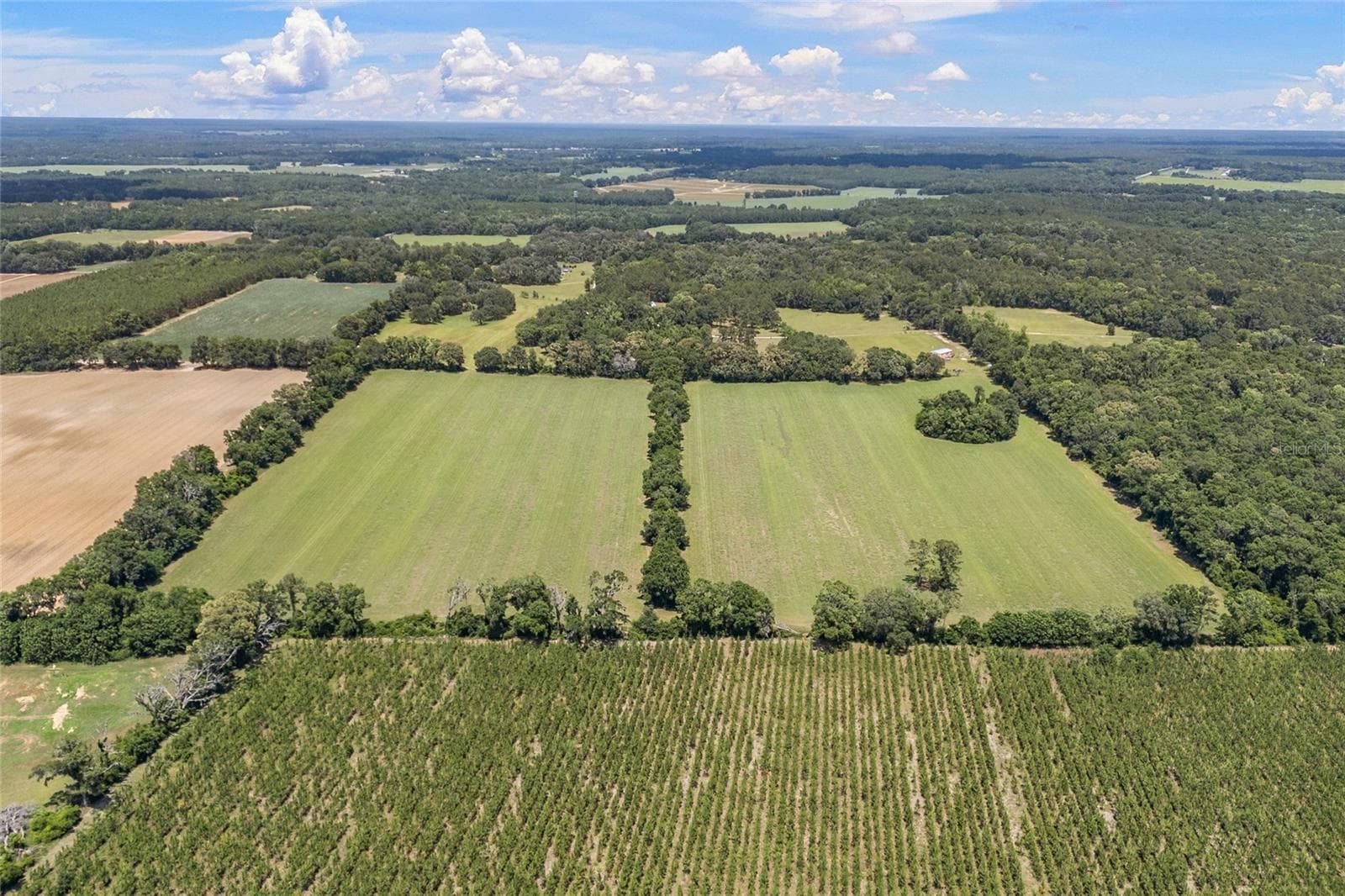 Land at 227TH DR, HIGH SPRINGS, photo 17 of 39