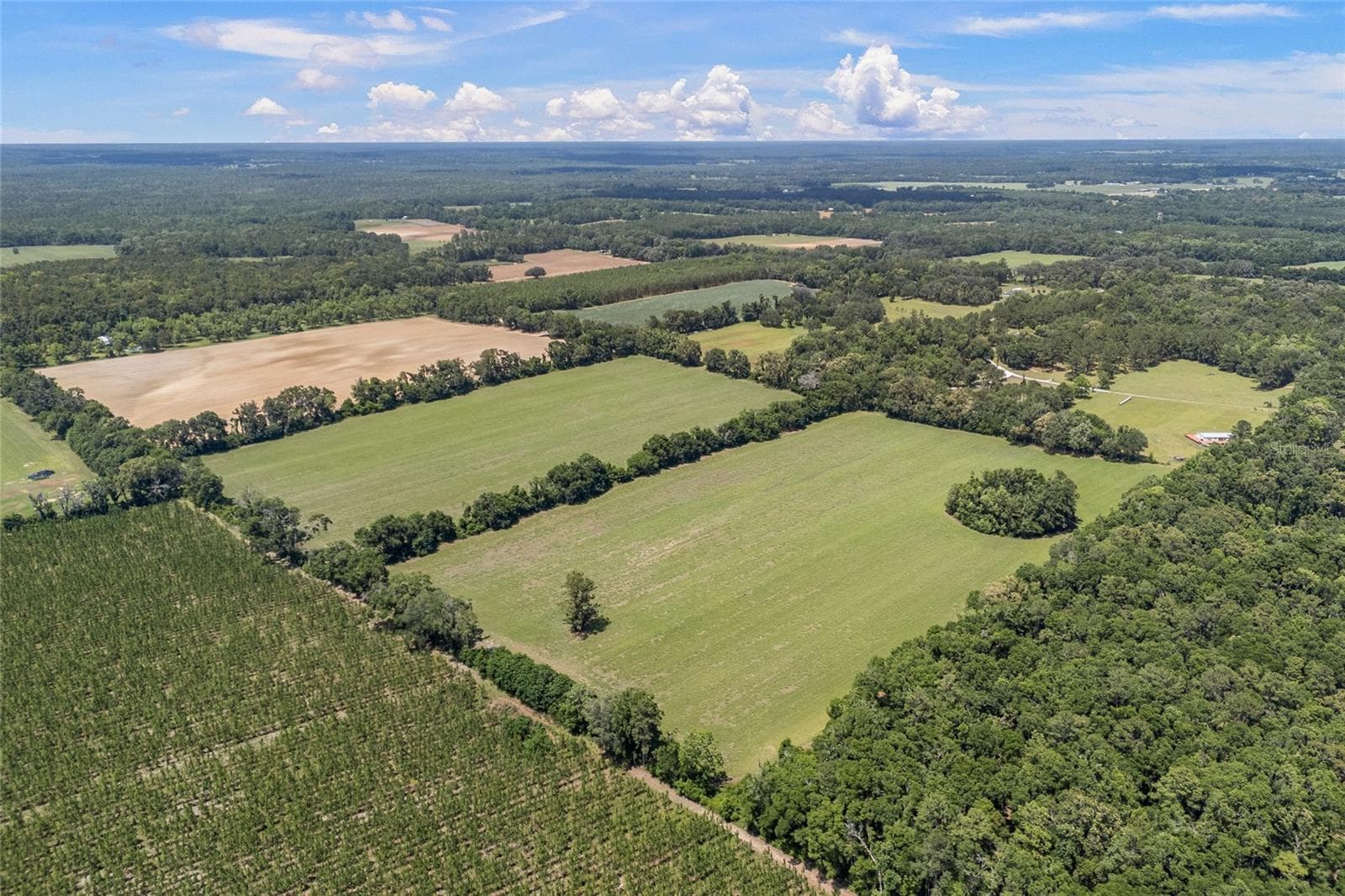 Land at 227TH DR, HIGH SPRINGS, photo 19 of 39