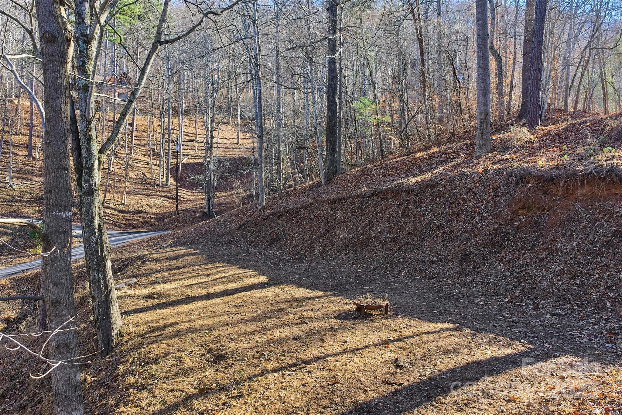 Build site #1 looking at Beech Tree Lane - 15 Beech Tree Lane, Asheville