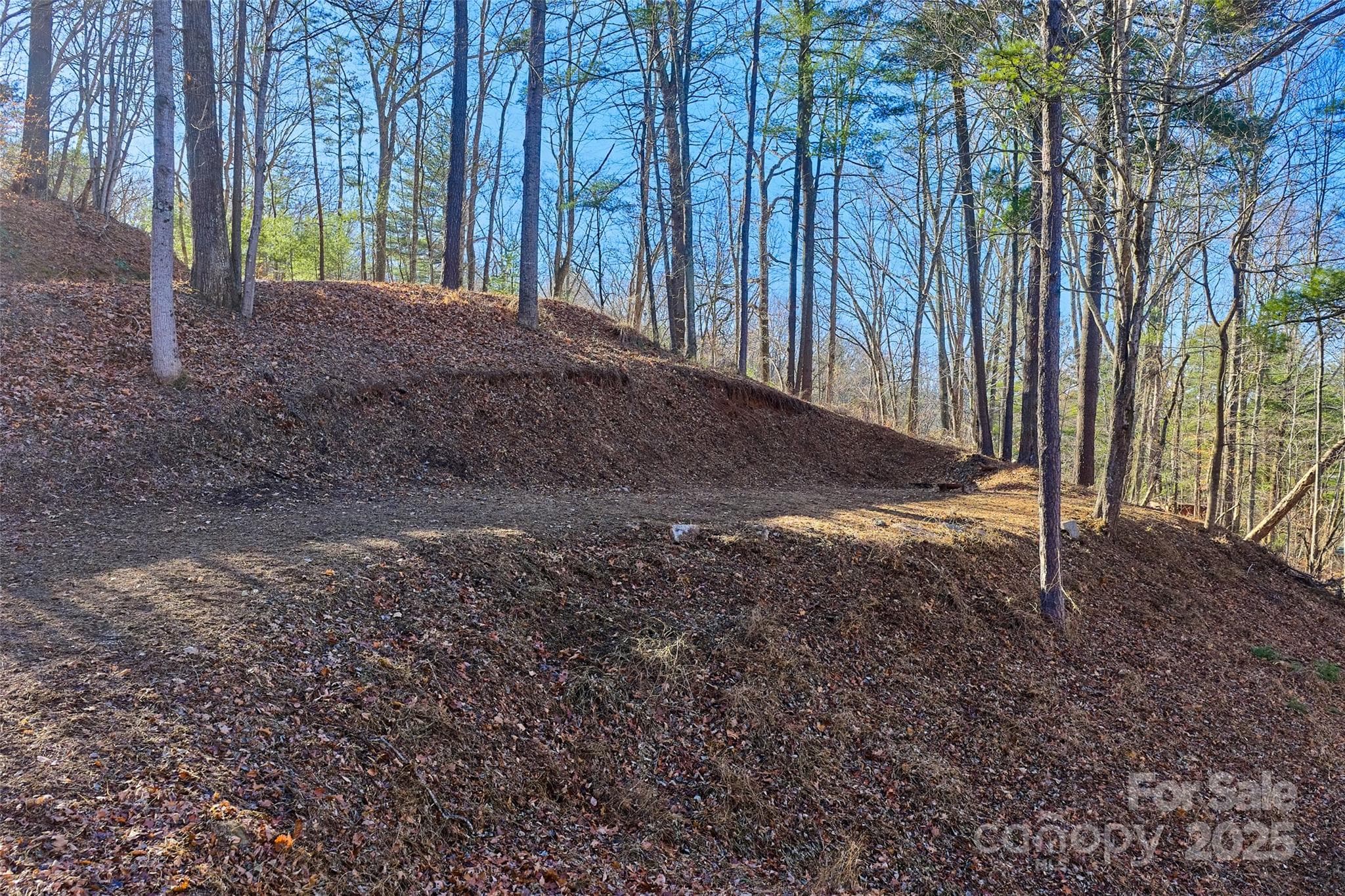 Build site #1 cut out - 15 Beech Tree Lane, Asheville