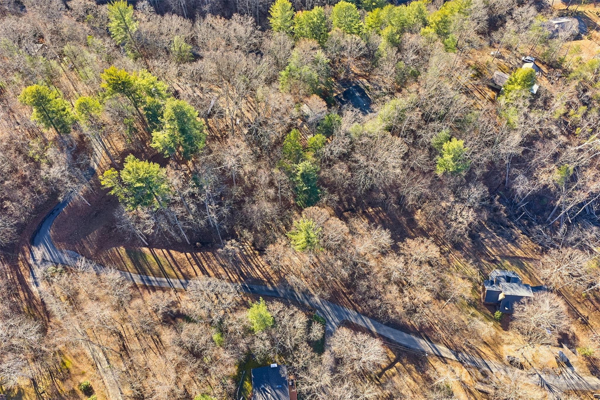 Aerial view - 15 Beech Tree Lane, Asheville