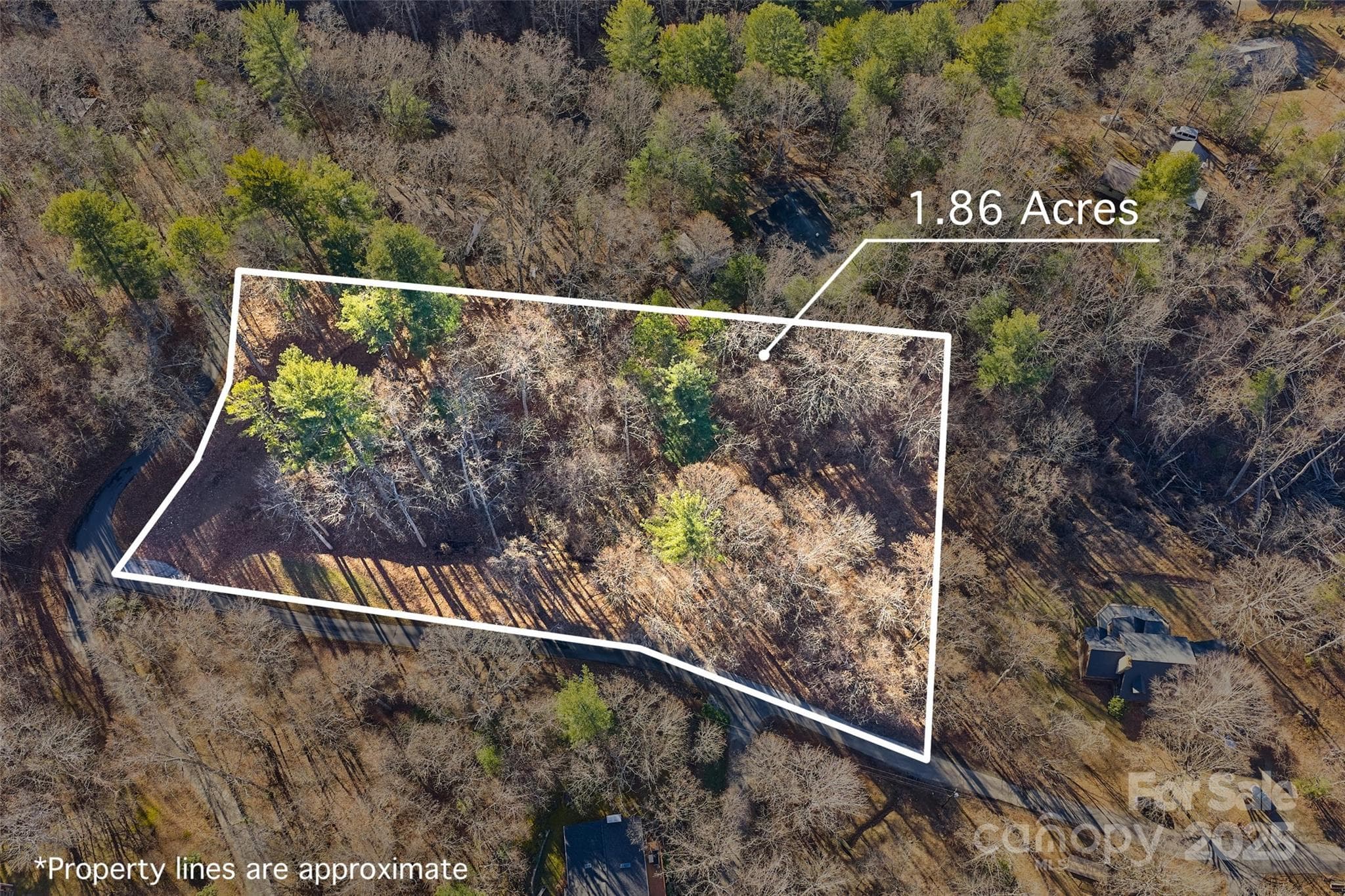Approximate lot scale - 15 Beech Tree Lane, Asheville