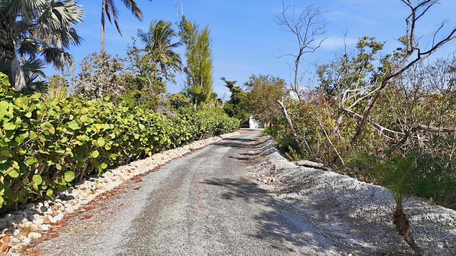 Single Family Residence at 5010 GROUPER HOLE CT, BOCA GRANDE, photo 51 of 69