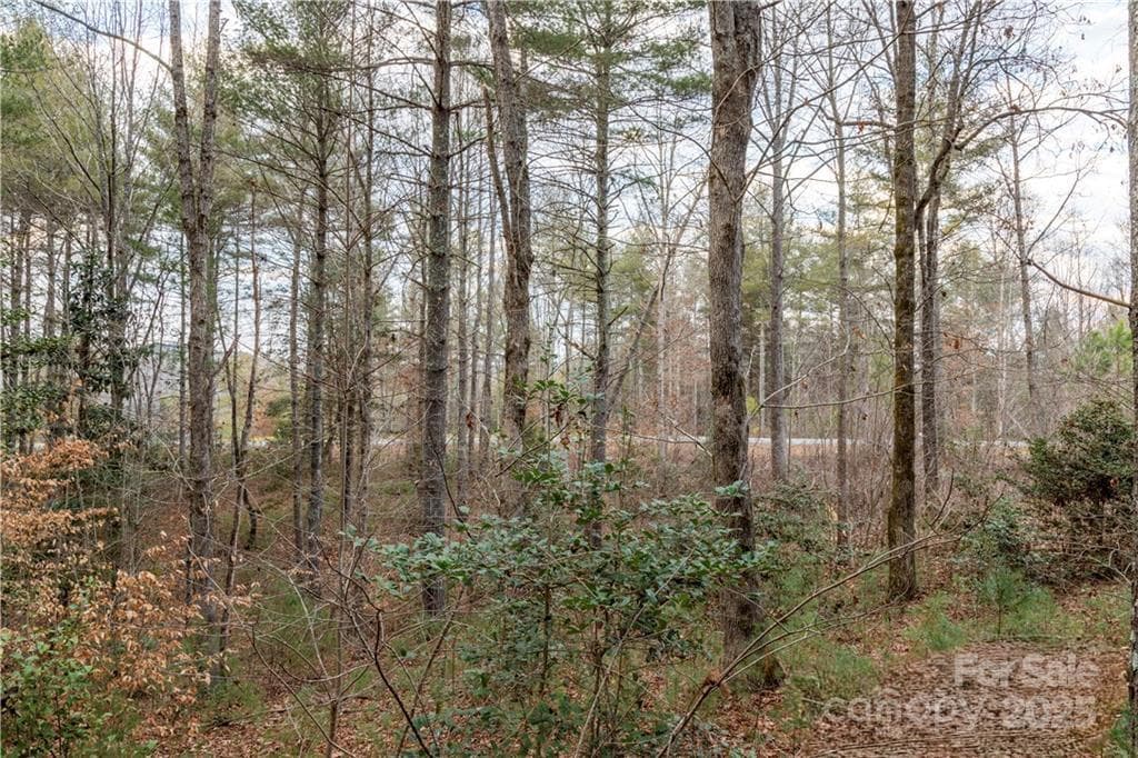 Lot at 1209 Lakeside Way NW, Valdese, photo 3 of 11