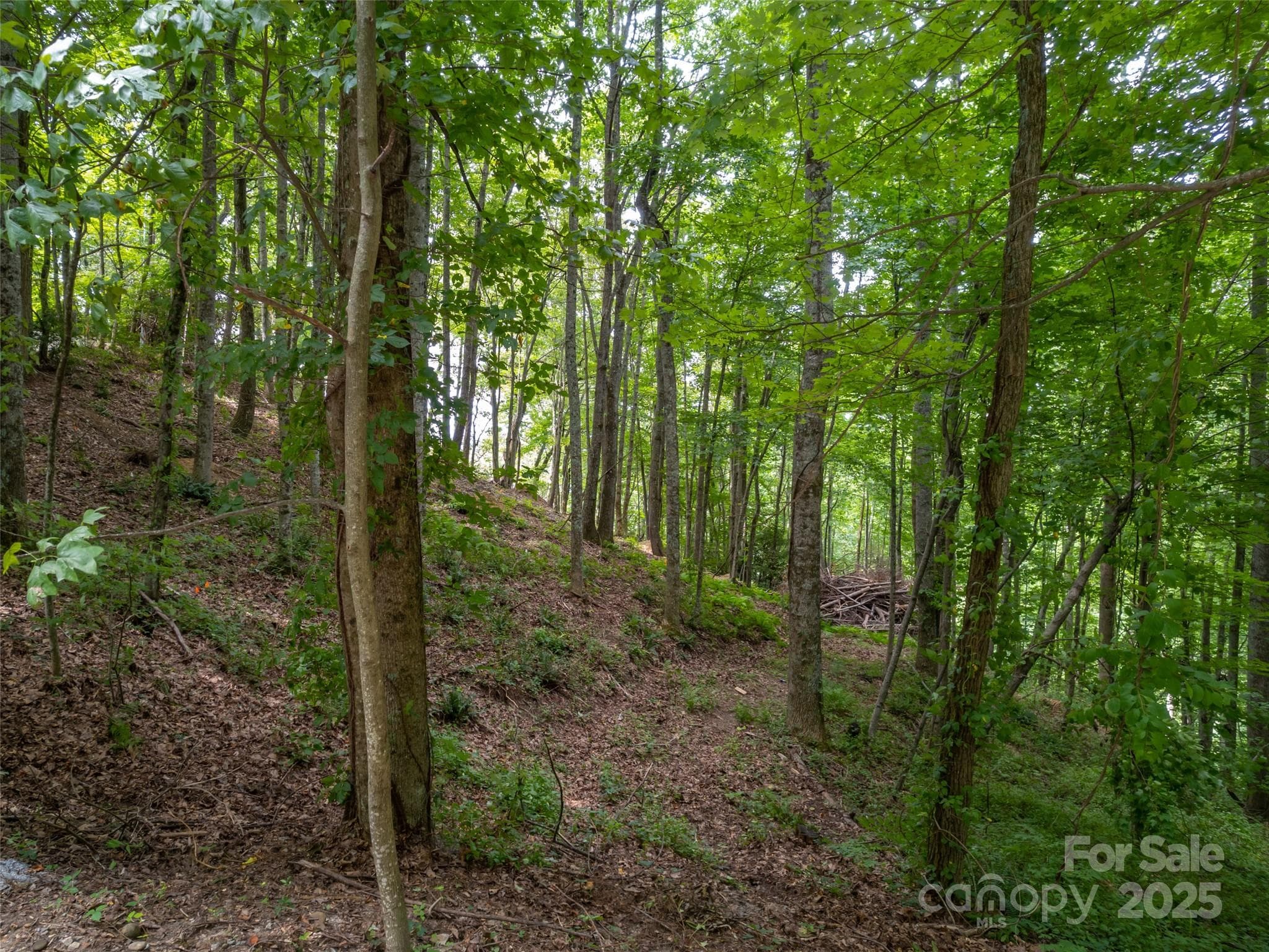 Lot at Hendersonville, photo 2 of 15