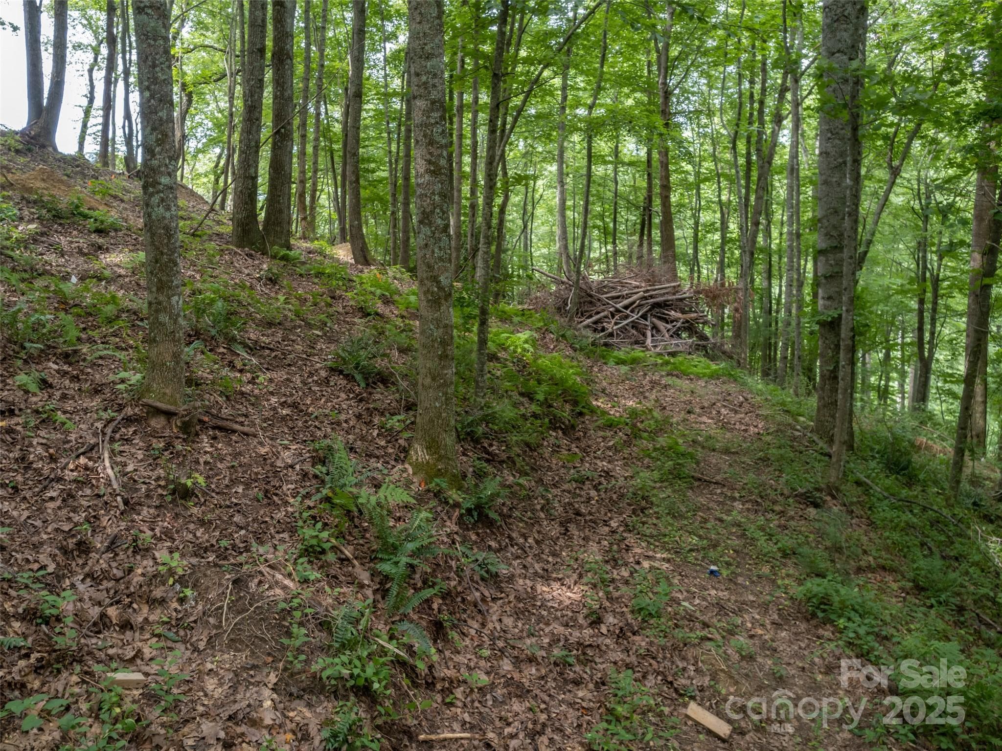 Lot at Hendersonville, photo 3 of 15