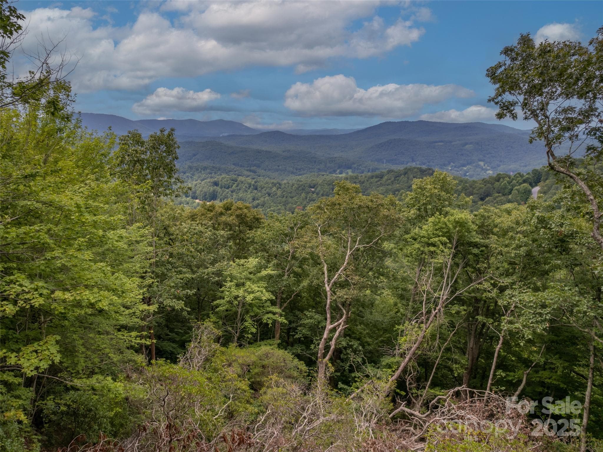 Lot at Hendersonville, photo 4 of 15