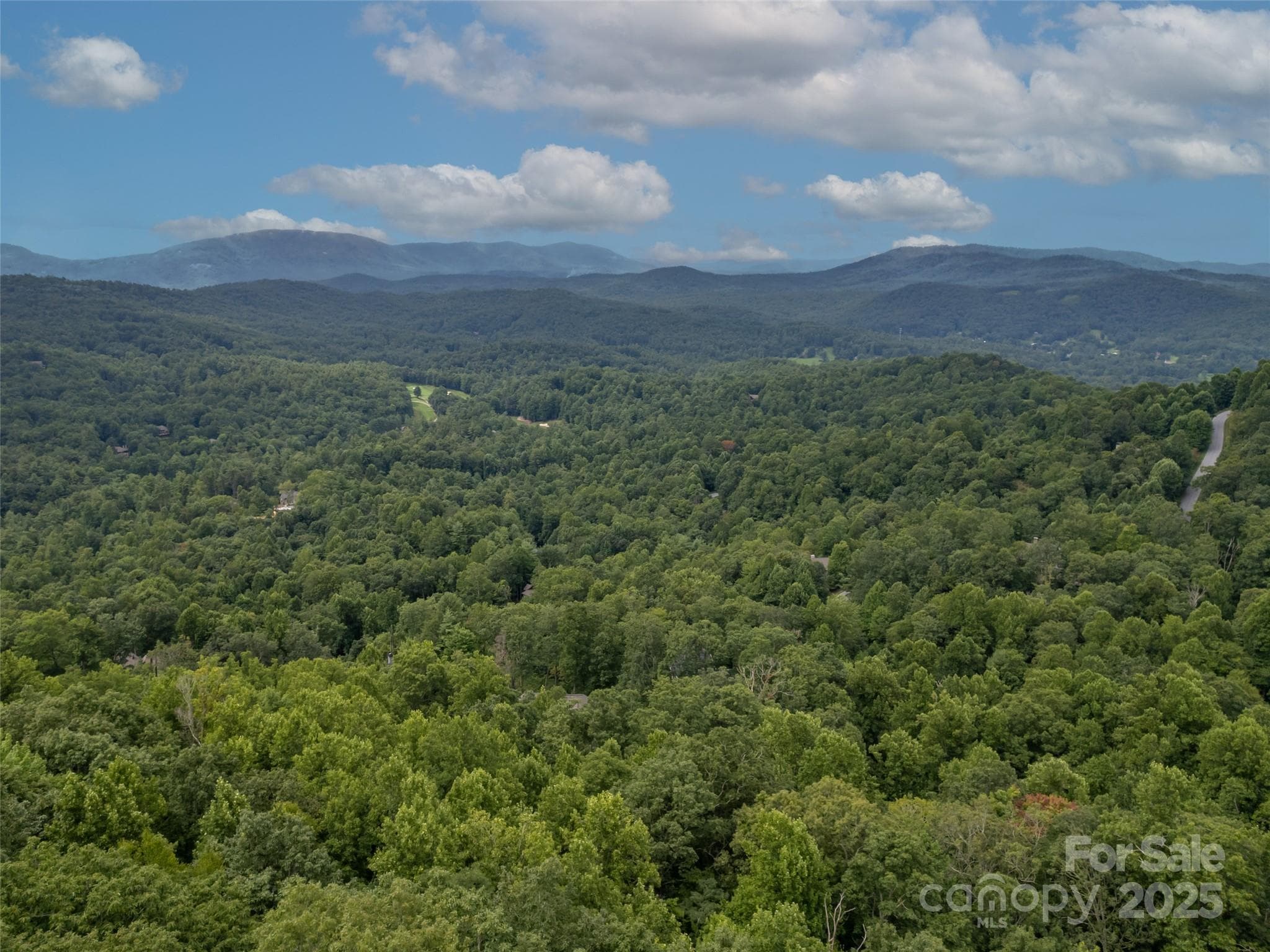Lot at Hendersonville, photo 5 of 15