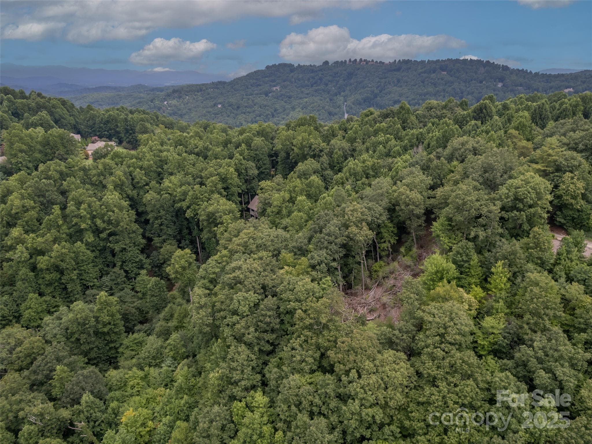 Lot at Hendersonville, photo 6 of 15
