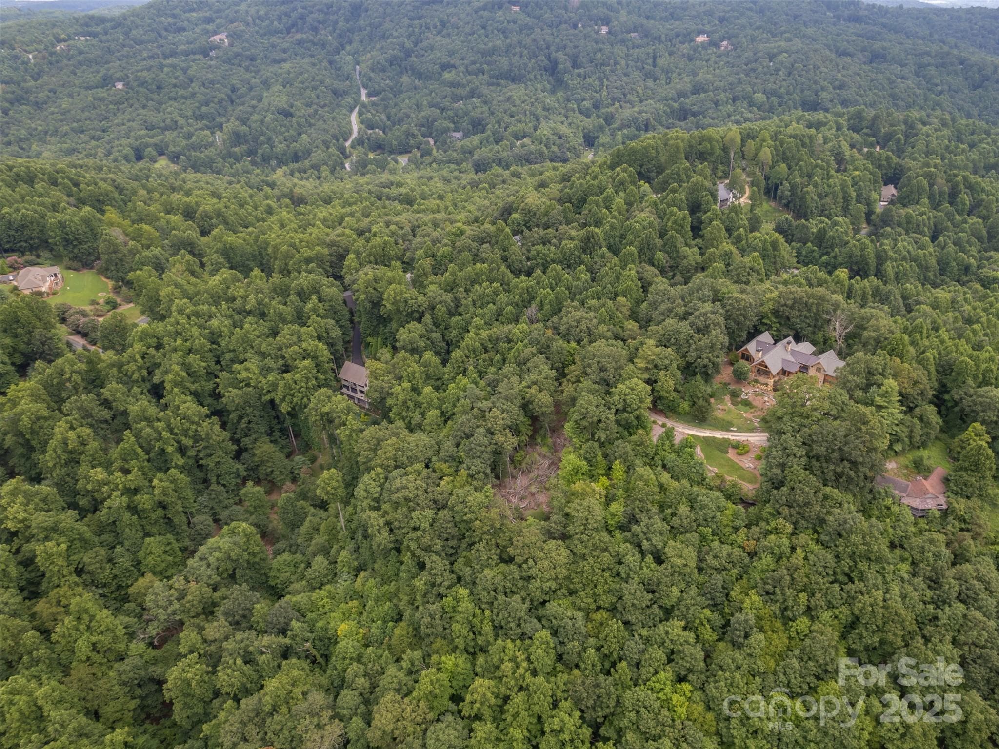 Lot at Hendersonville, photo 8 of 15