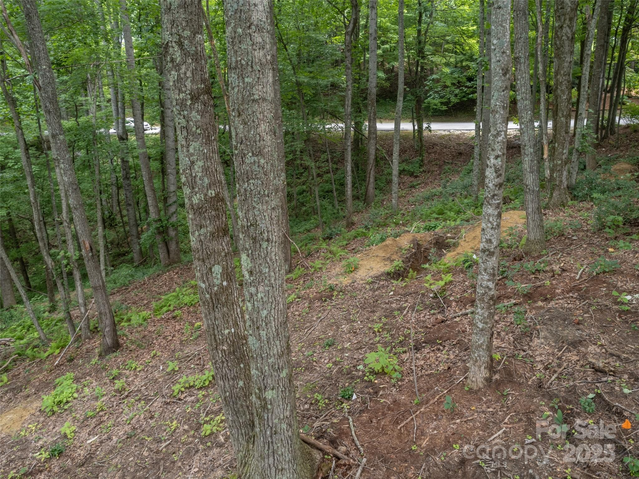 Lot at Hendersonville, photo 10 of 15