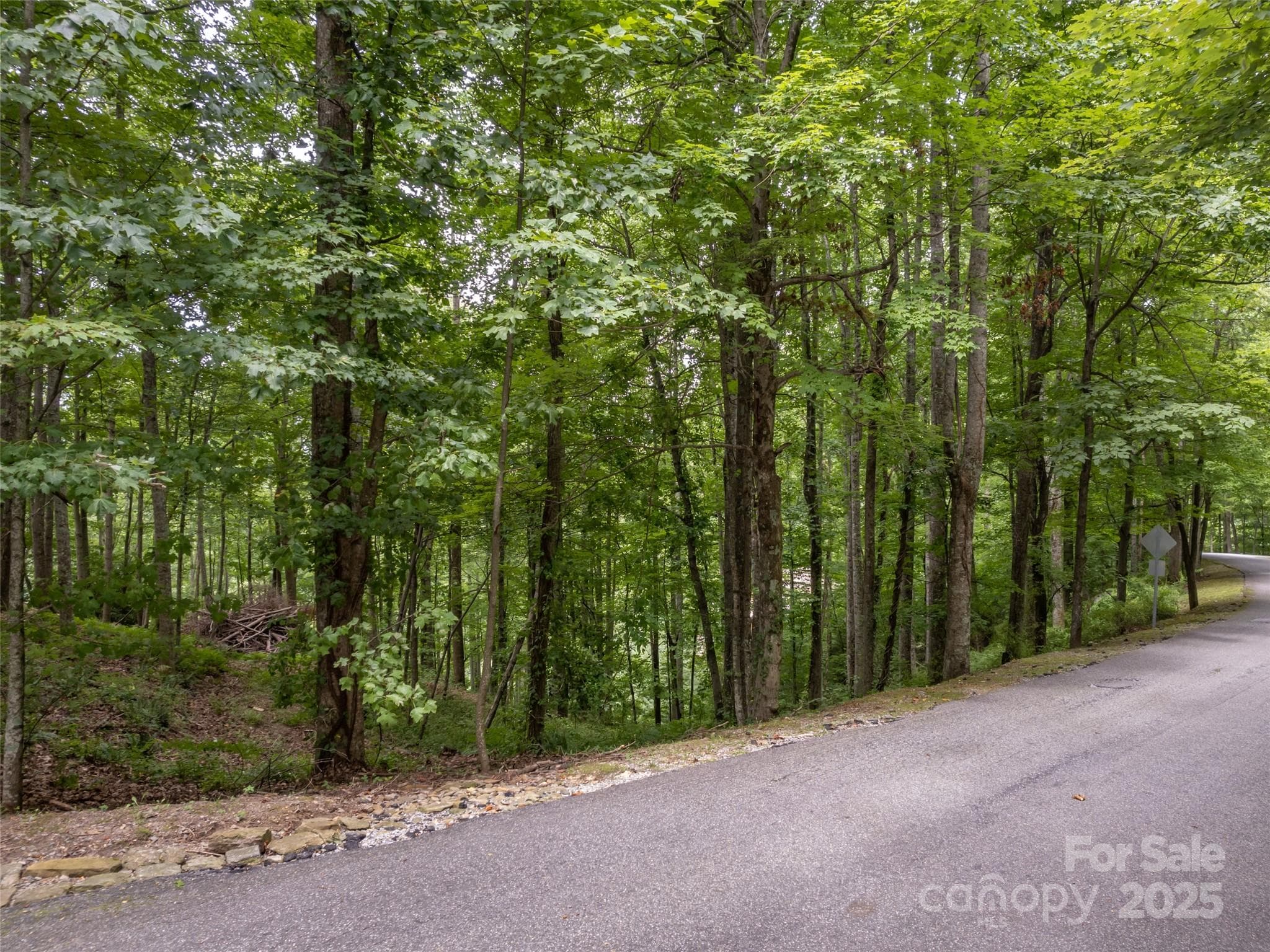 Lot at Hendersonville, photo 11 of 15