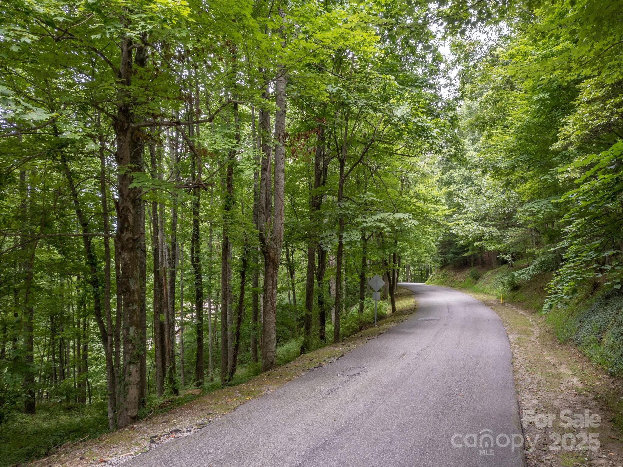Lot at Hendersonville, photo 12 of 15