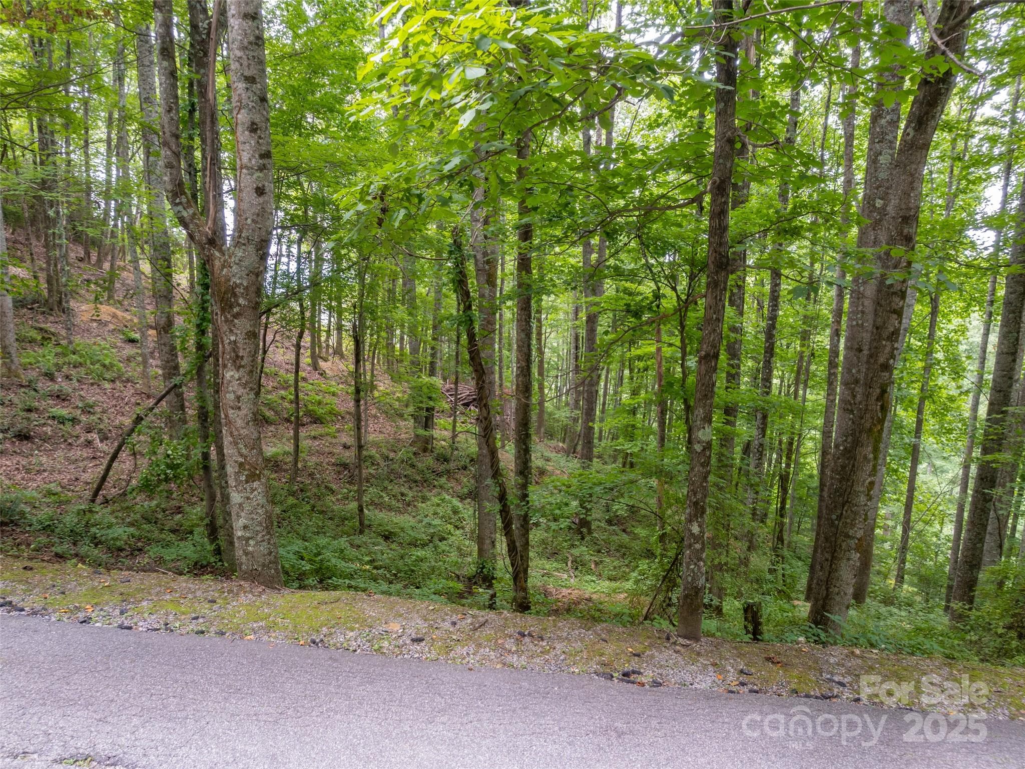 Lot at Hendersonville, photo 13 of 15