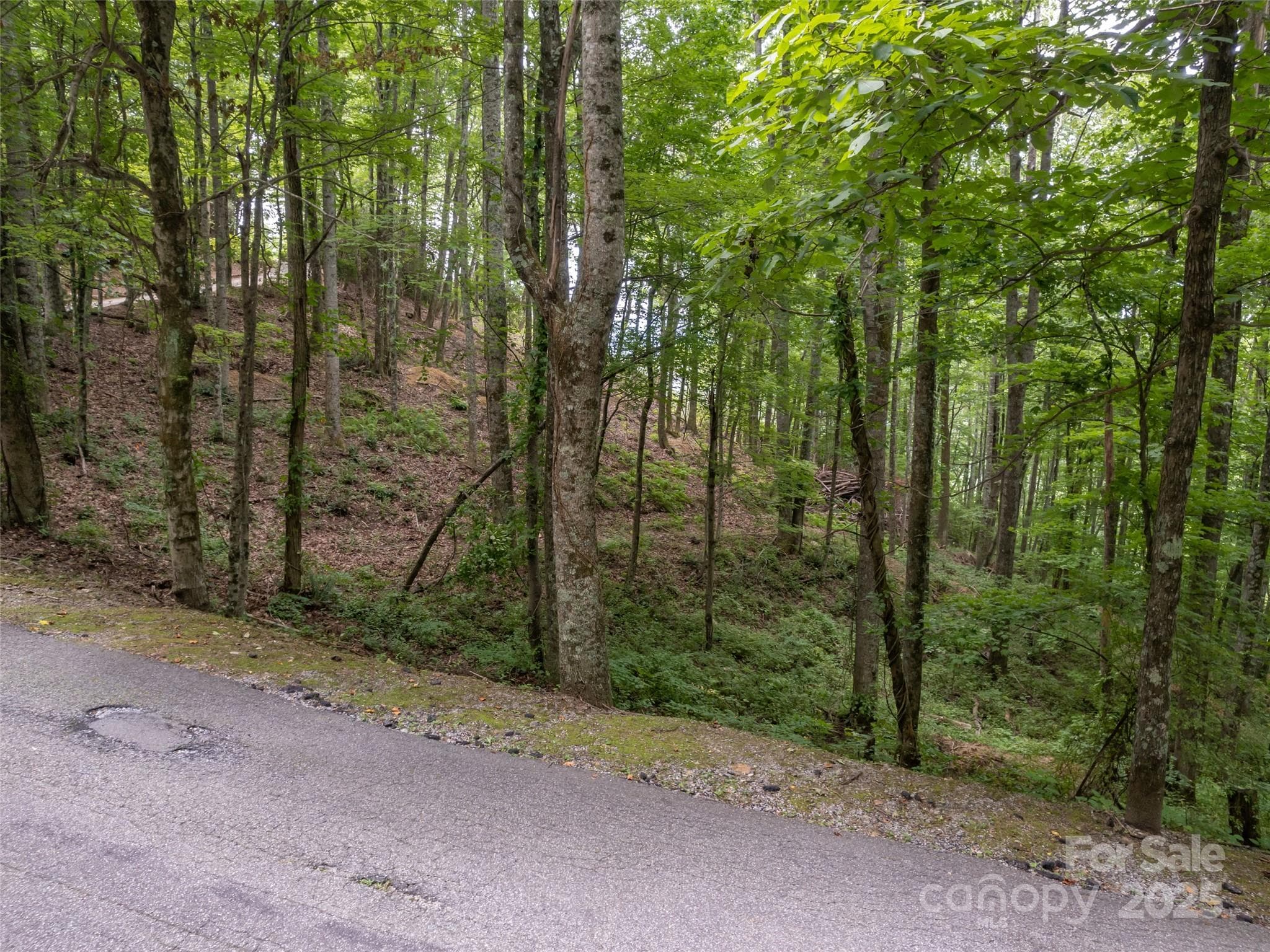 Lot at Hendersonville, photo 14 of 15