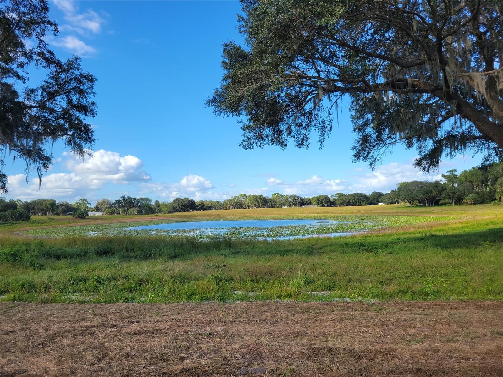 Land at TBD SE 170 AVE RD #Tract A, OCKLAWAHA, photo 7 of 9