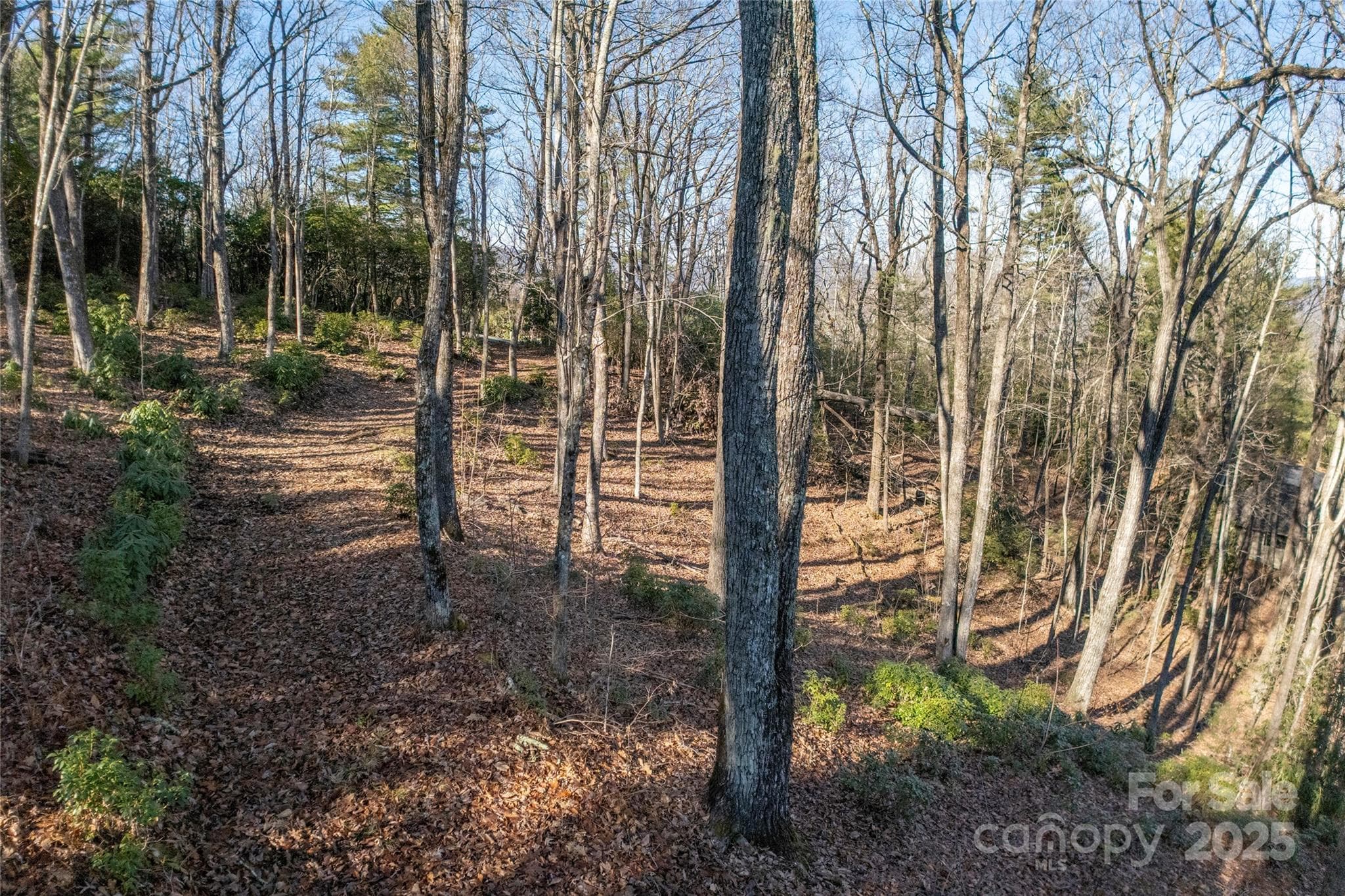 Lot at Lot 25 Lakeside Trail, Lake Toxaway, photo 2 of 15