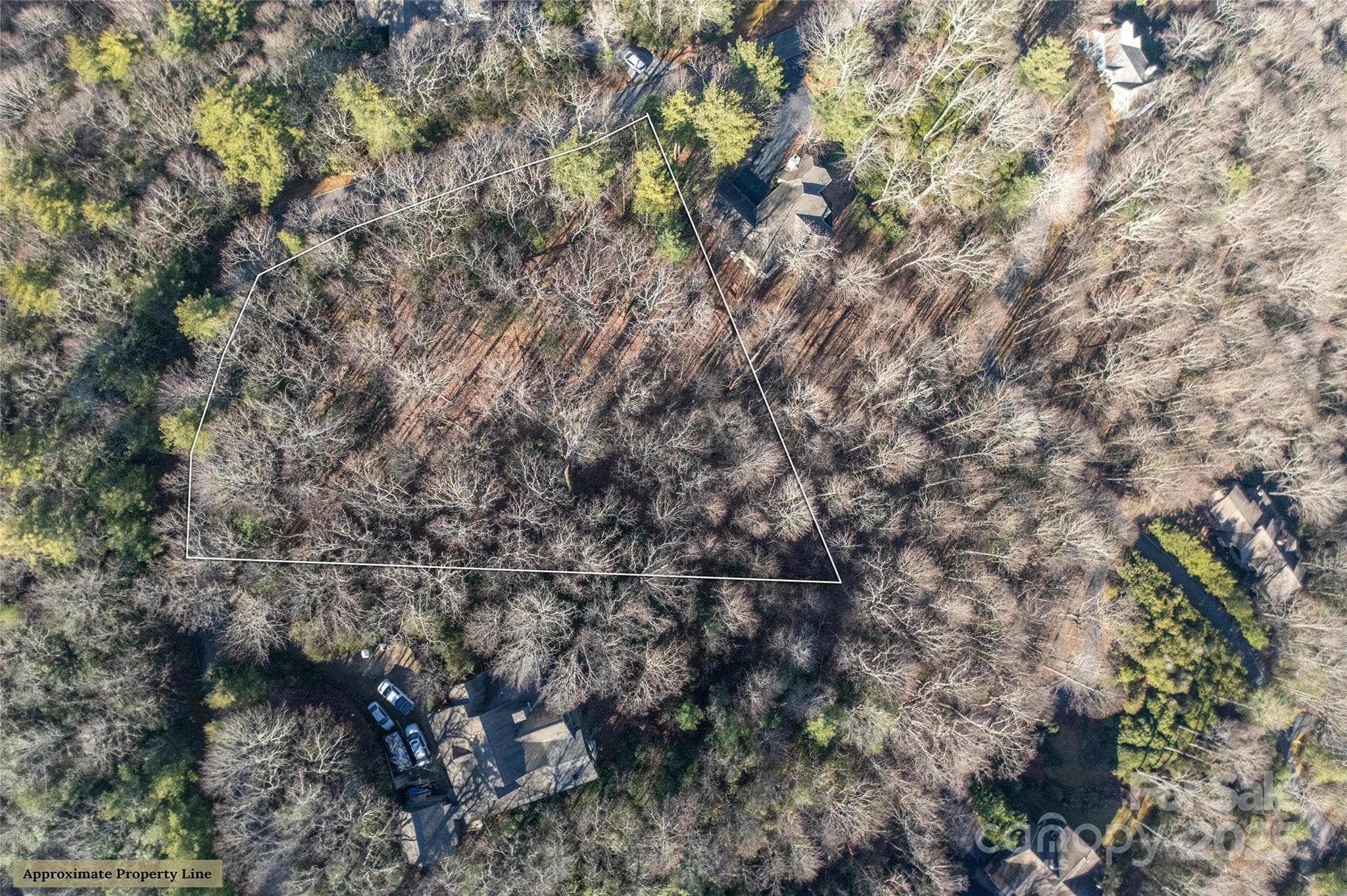Lot at Lot 25 Lakeside Trail, Lake Toxaway, photo 4 of 15