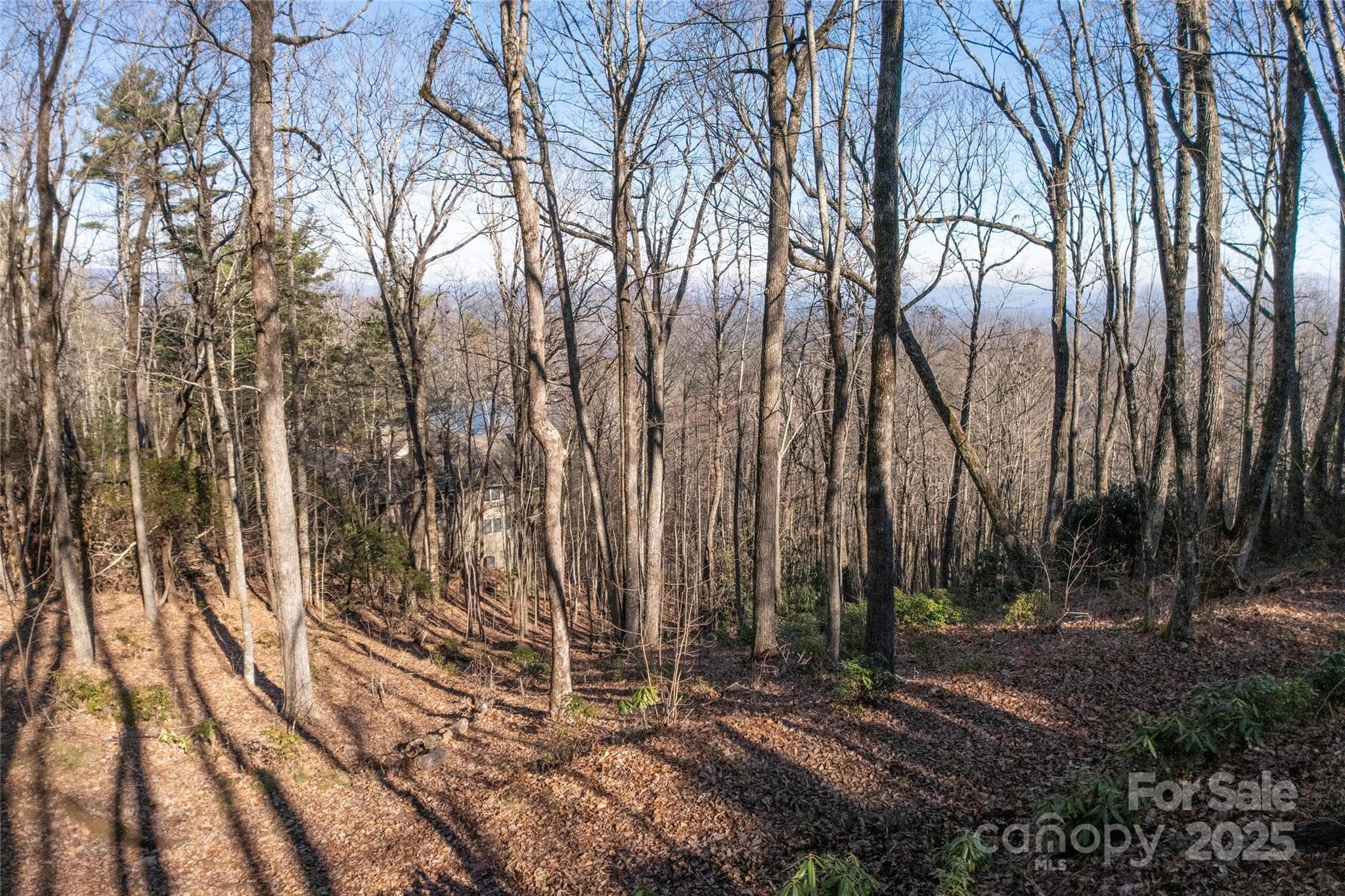 Lot at Lot 25 Lakeside Trail, Lake Toxaway, photo 7 of 15