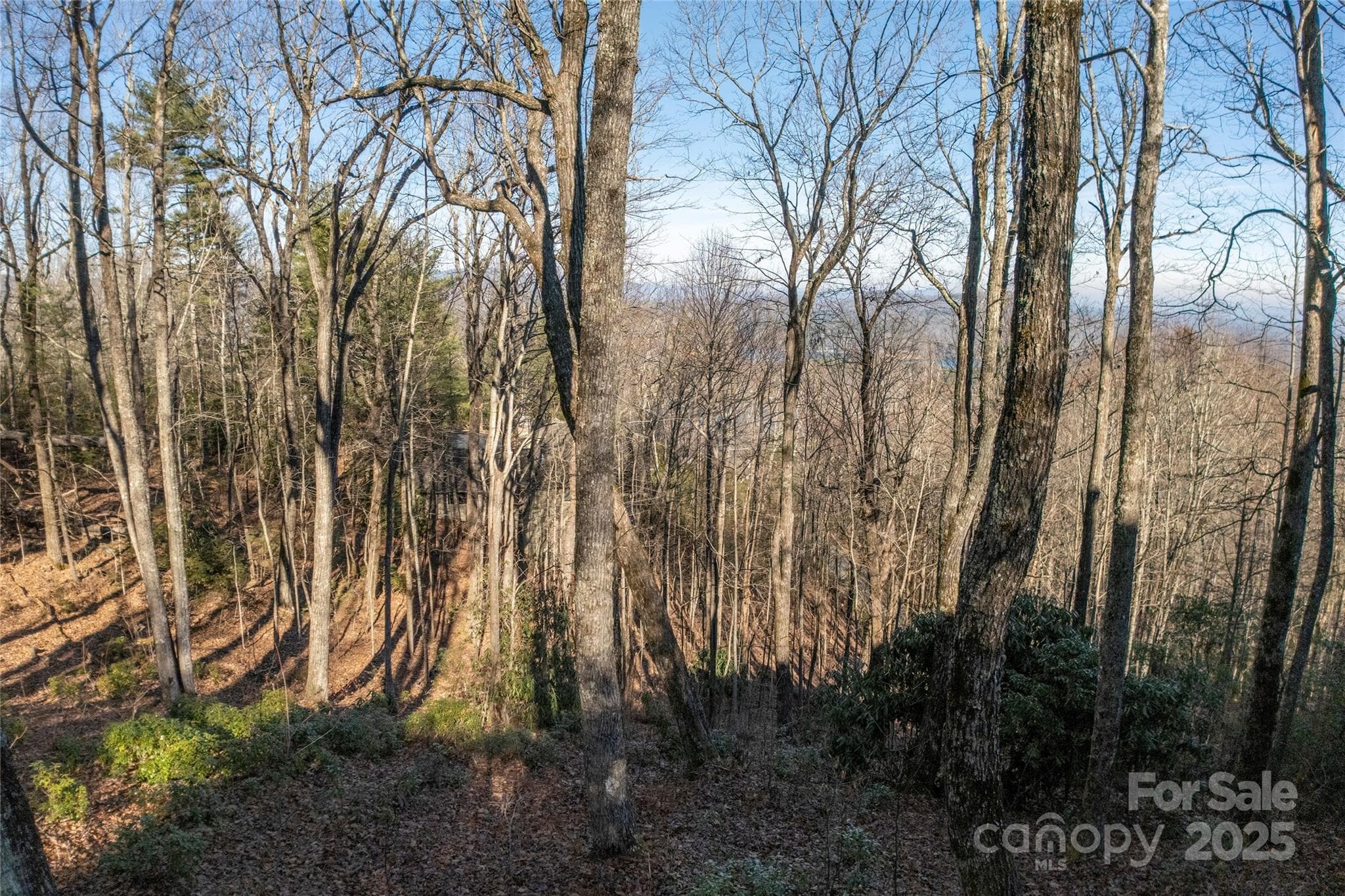 Lot at Lot 25 Lakeside Trail, Lake Toxaway, photo 8 of 15
