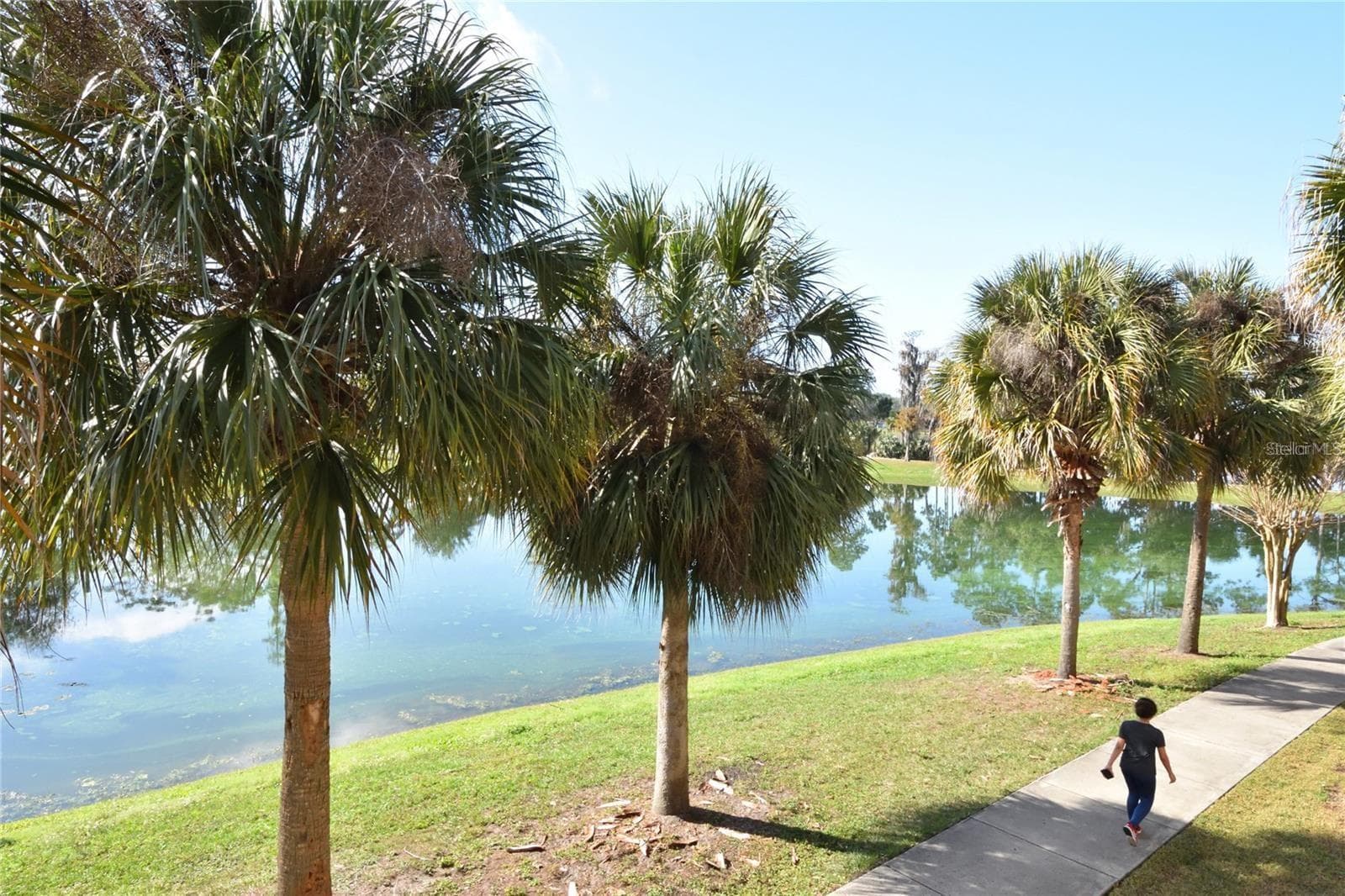 Condominium at 3396 PARKCHESTER SQUARE BLVD #104, ORLANDO, photo 32 of 32