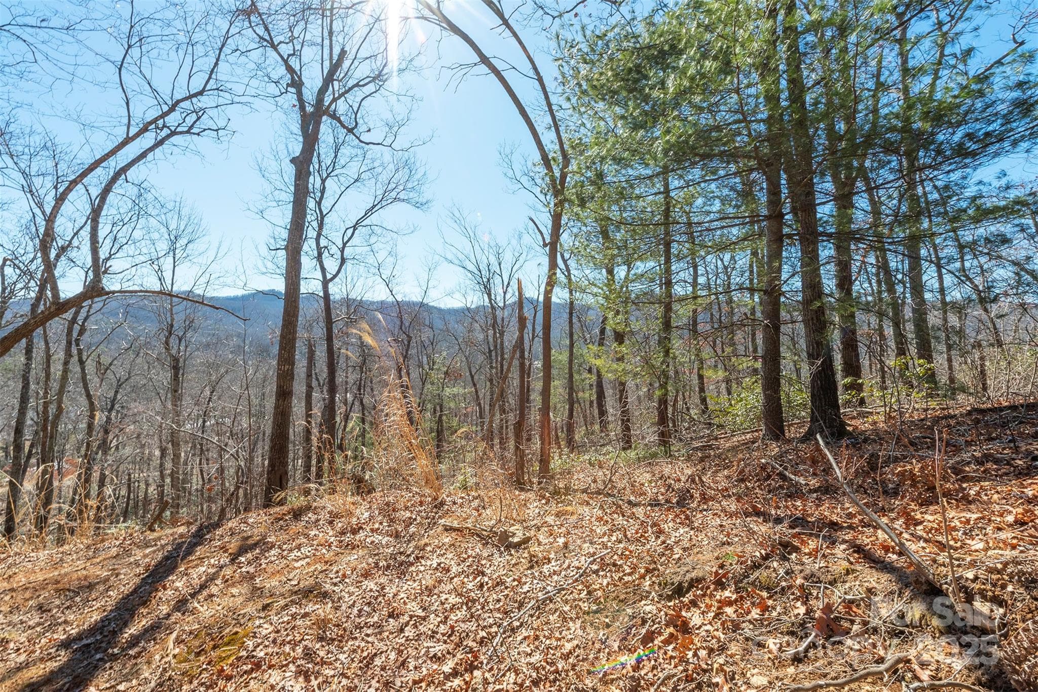Southwest View - Black Mountain